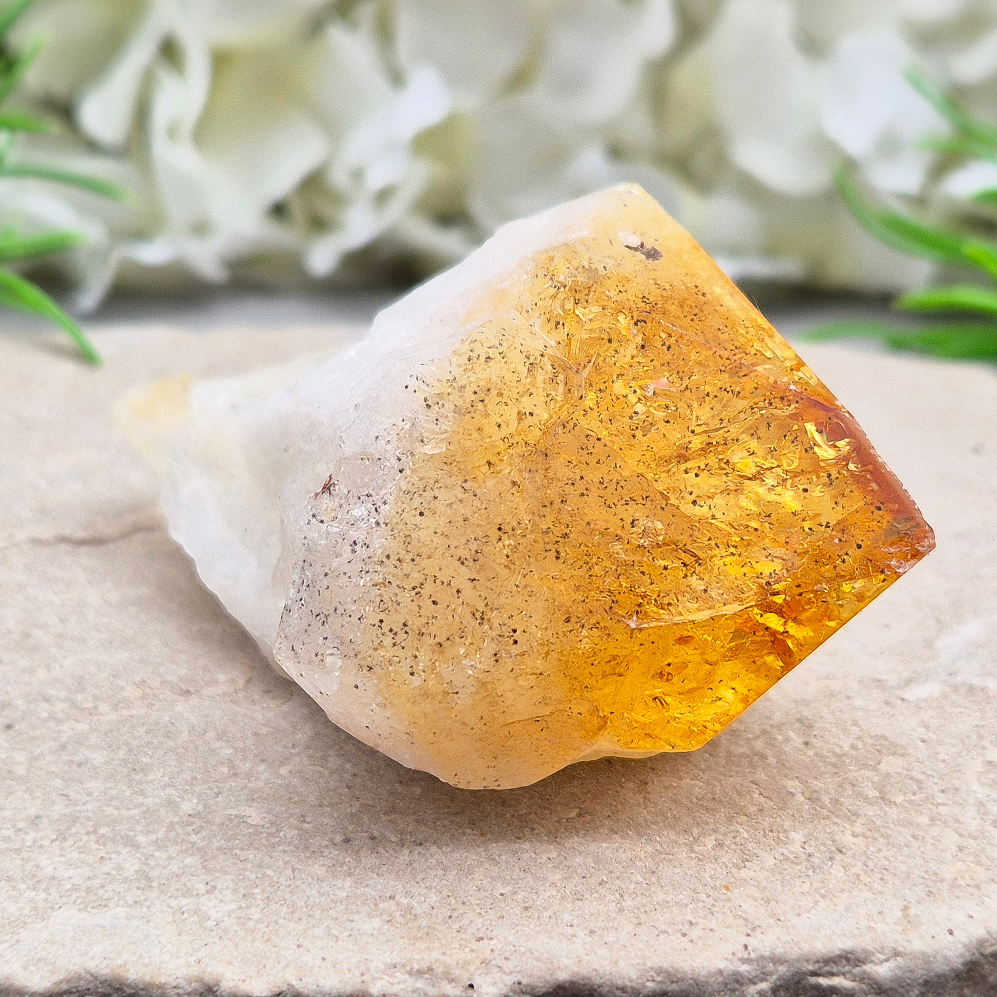 Citrine Crystal teeth. A joyful stone of abundance that boosts confidence, creativity, focus, and balances Solar Plexus & Sacral chakras.