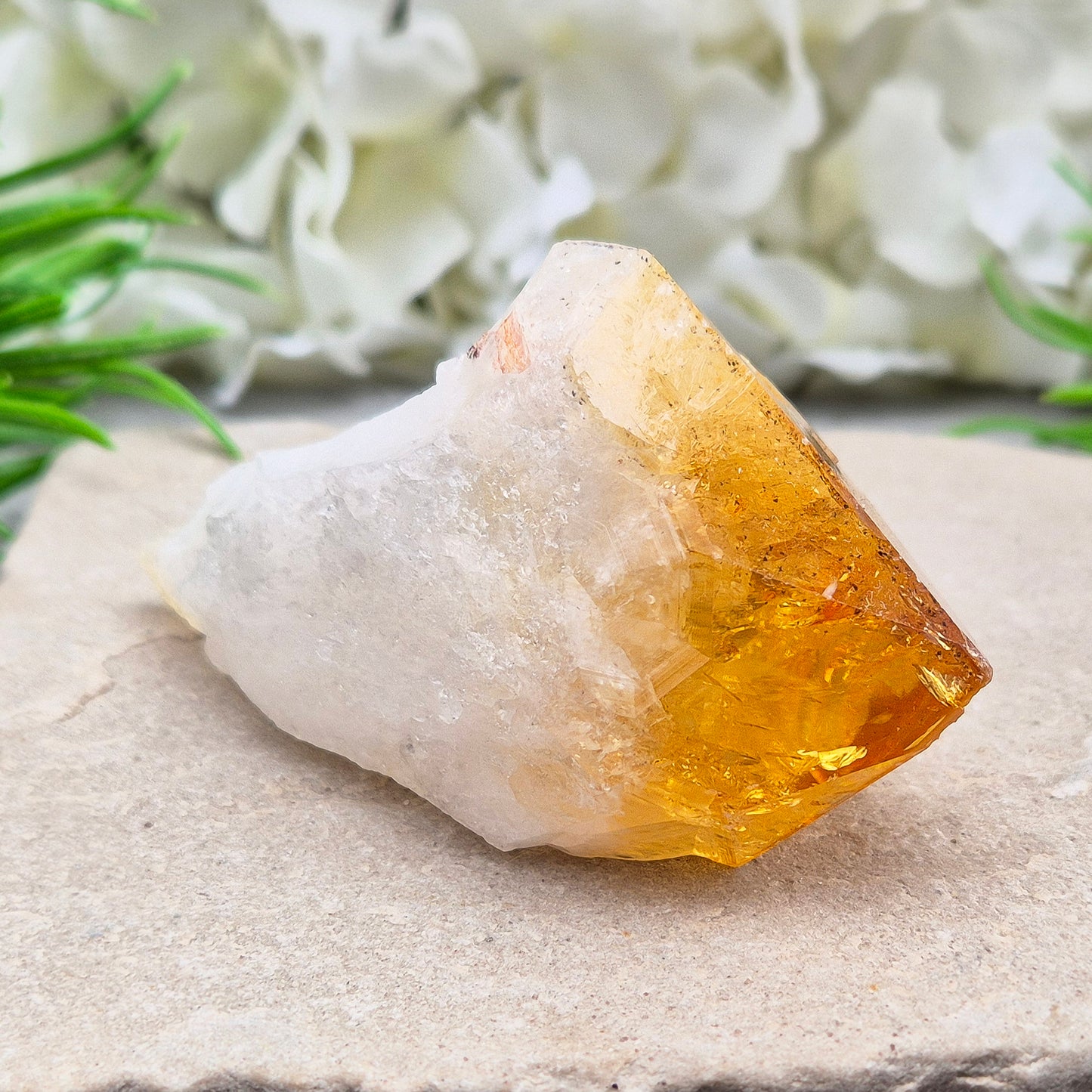 Citrine Crystal teeth. A joyful stone of abundance that boosts confidence, creativity, focus, and balances Solar Plexus & Sacral chakras.