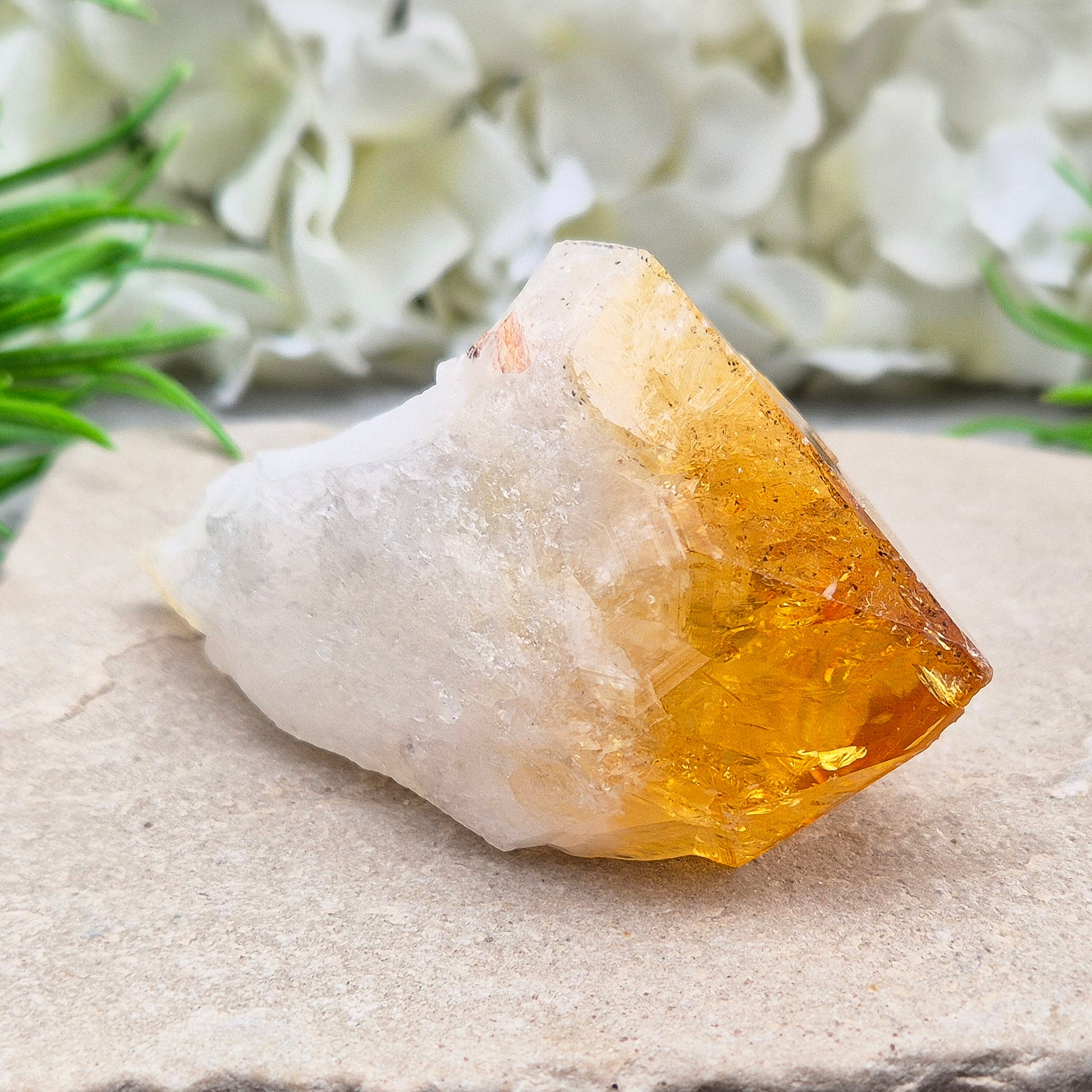 Citrine Crystal teeth. A joyful stone of abundance that boosts confidence, creativity, focus, and balances Solar Plexus & Sacral chakras.