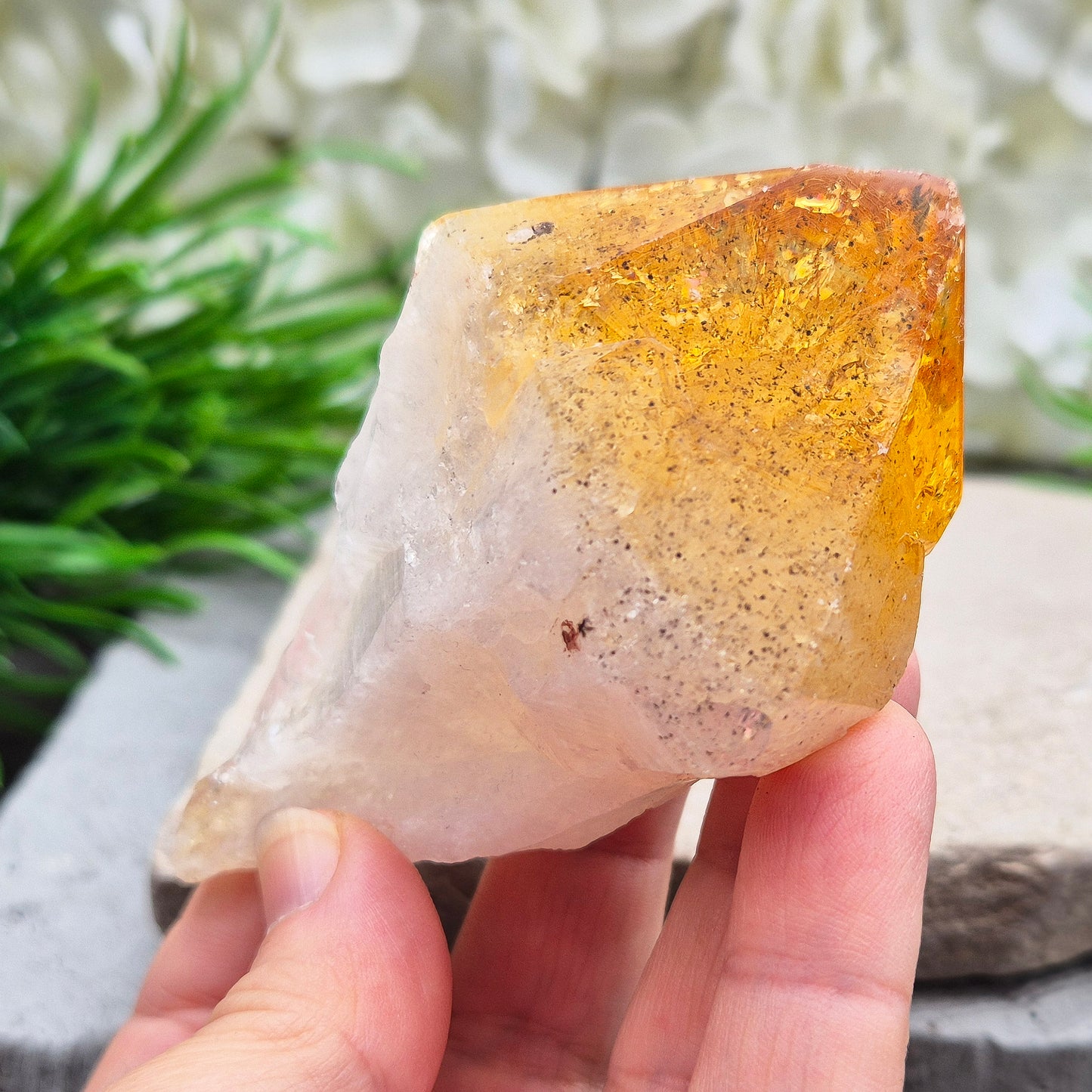 Citrine Crystal Point - Citrine Teeth