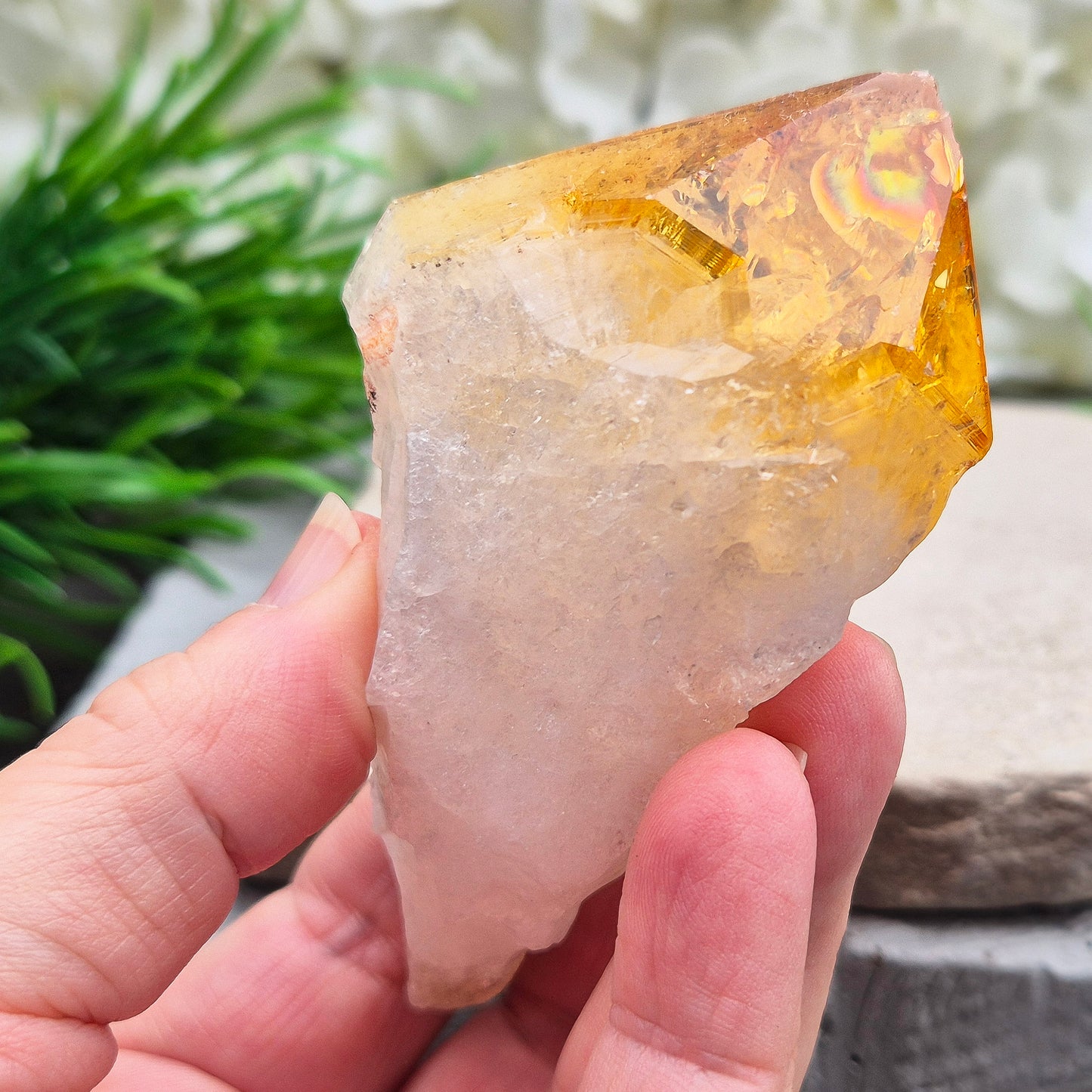 Citrine Crystal Point - Citrine Teeth