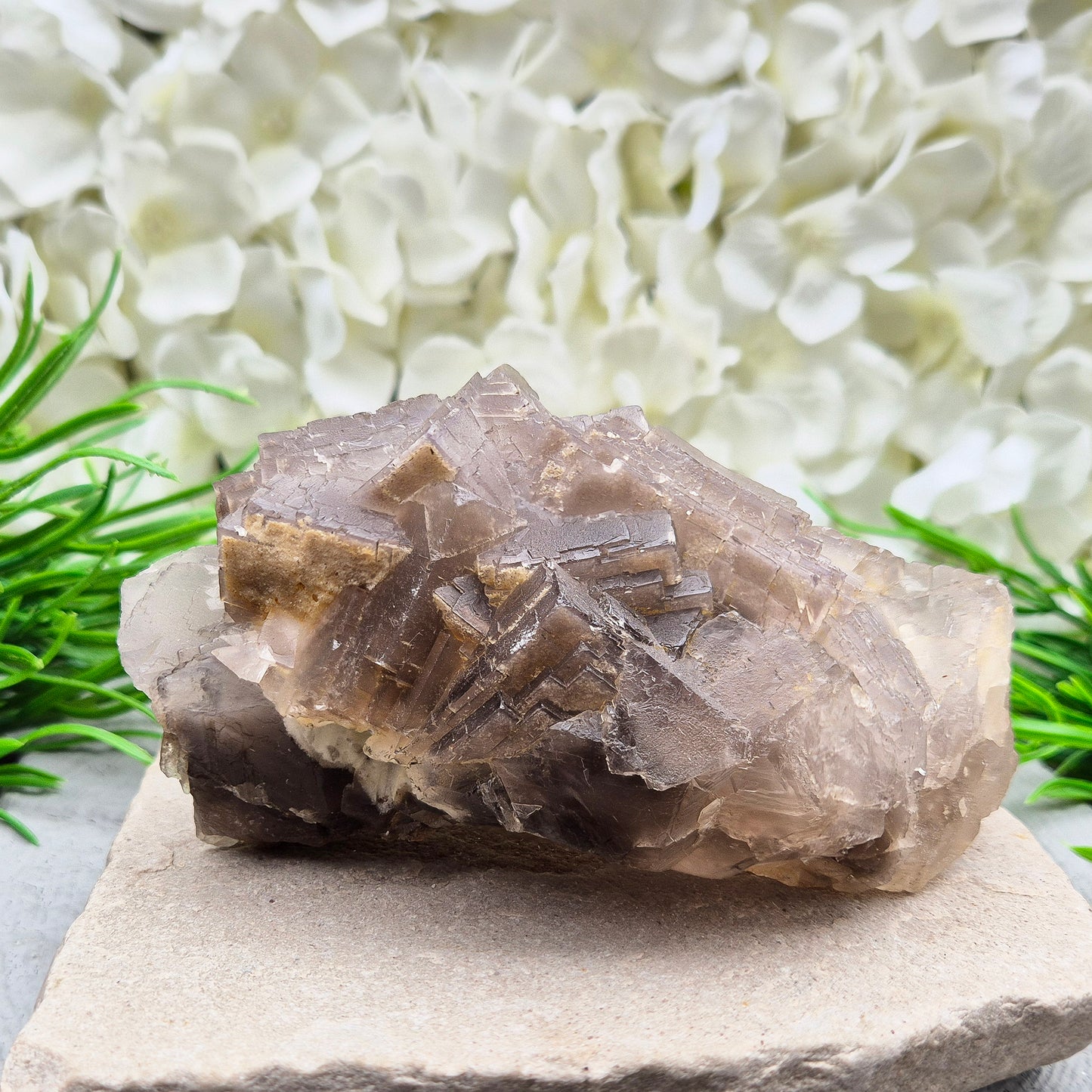 Cimmerian Fluorite cluster from Pakistan with soft smoky-grey tones. A calm, grounding crystal that supports focus, balance, and clear thinking.