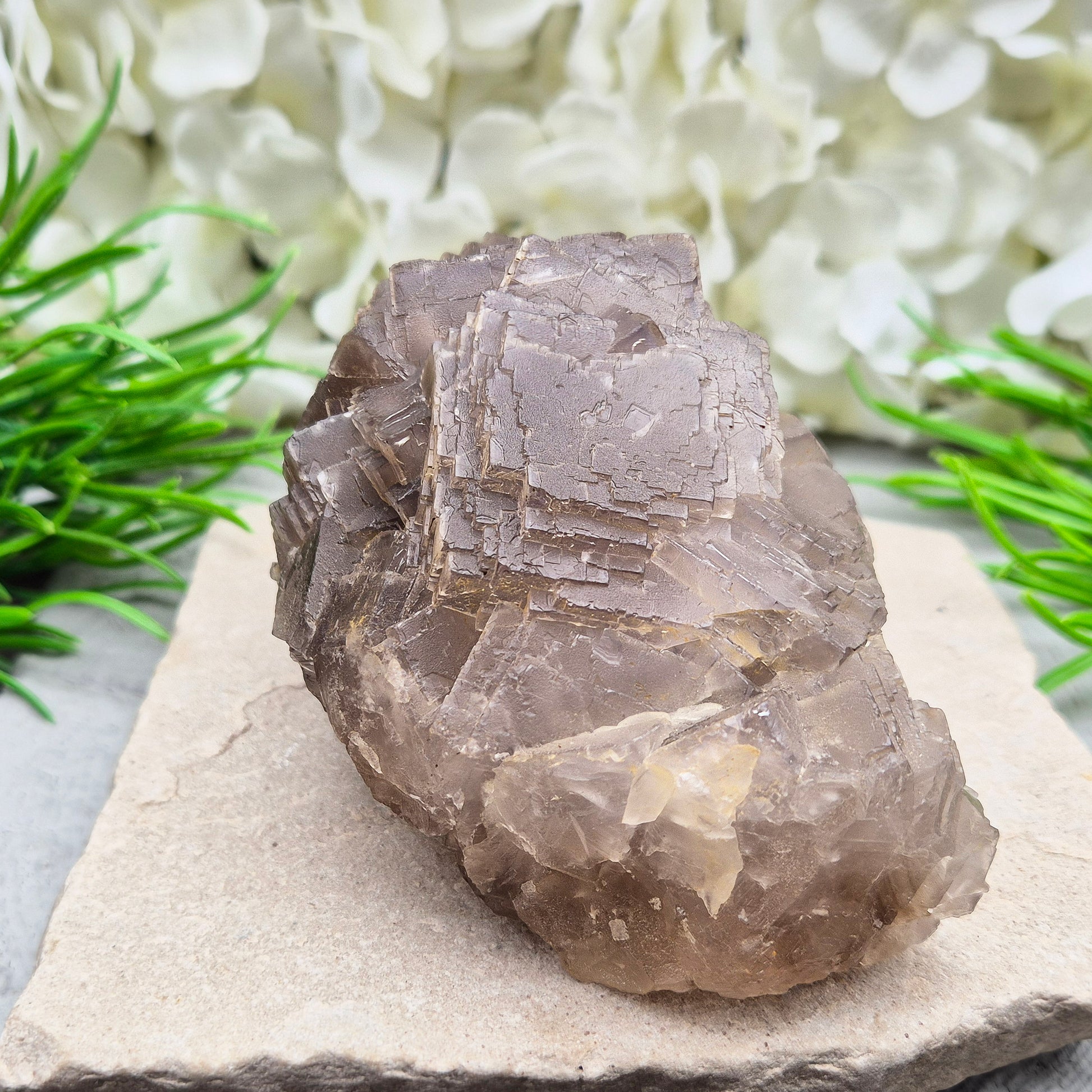 Cimmerian Fluorite cluster from Pakistan with soft smoky-grey tones. A calm, grounding crystal that supports focus, balance, and clear thinking.