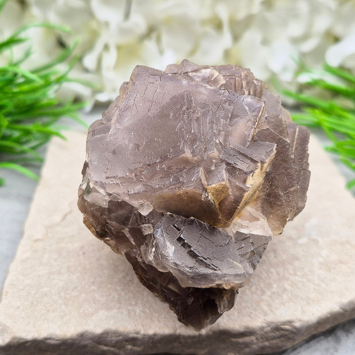 Cimmerian Fluorite Cluster