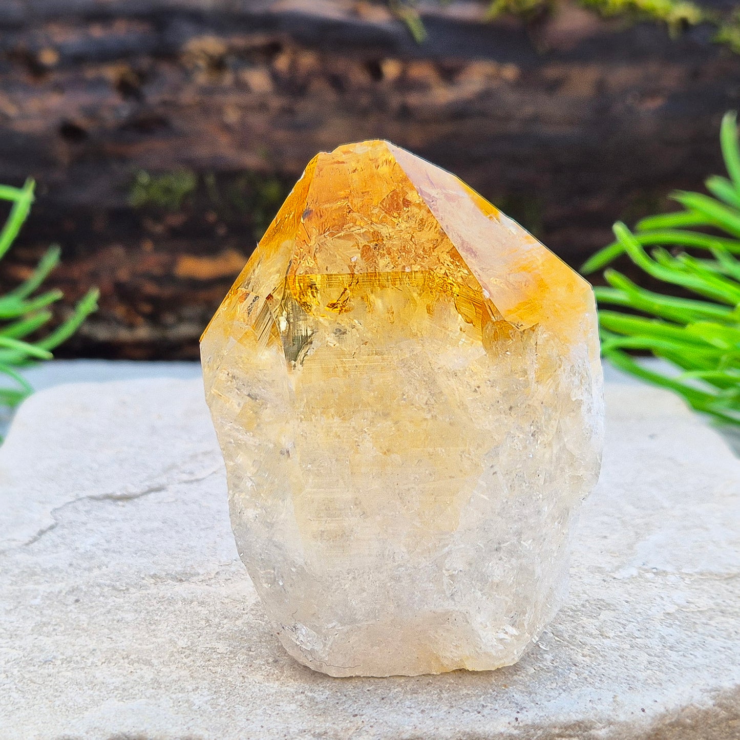 Citrine attracts abundance, joy, and success while boosting positivity, confidence, and creativity. It balances chakras, protects your aura, and improves focus.