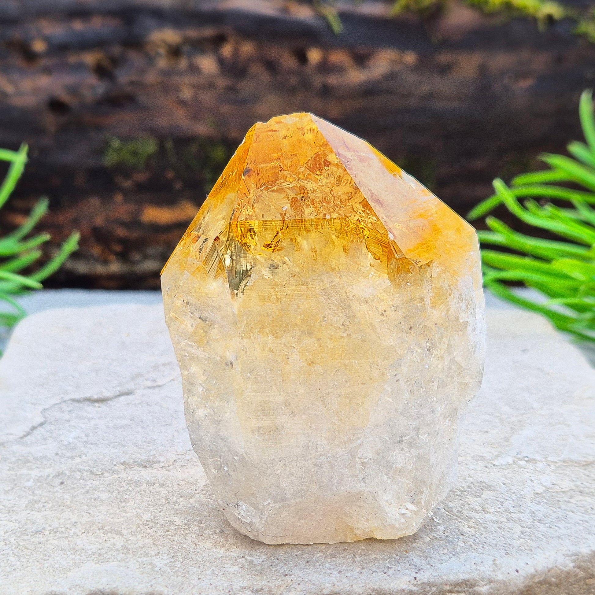 Citrine attracts abundance, joy, and success while boosting positivity, confidence, and creativity. It balances chakras, protects your aura, and improves focus.