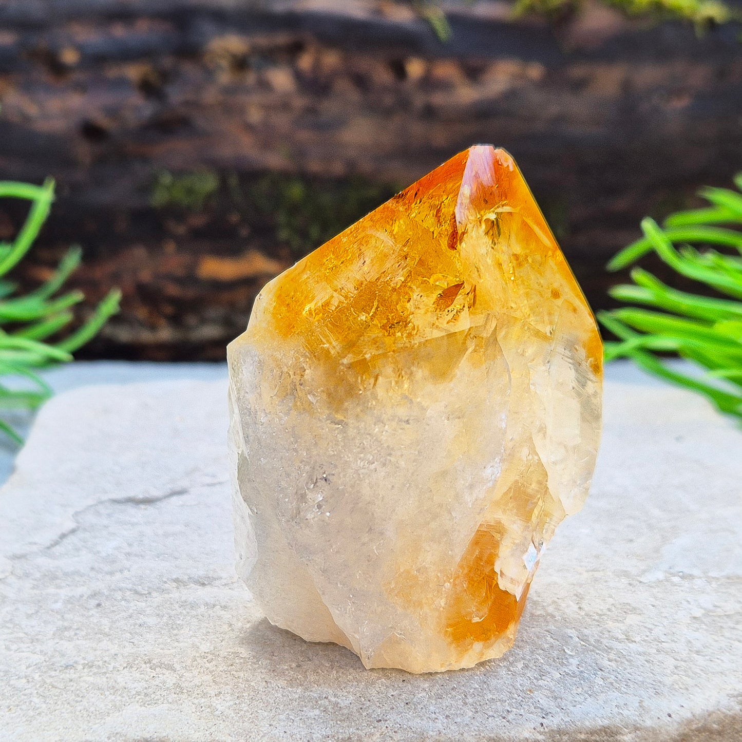 Citrine attracts abundance, joy, and success while boosting positivity, confidence, and creativity. It balances chakras, protects your aura, and improves focus.