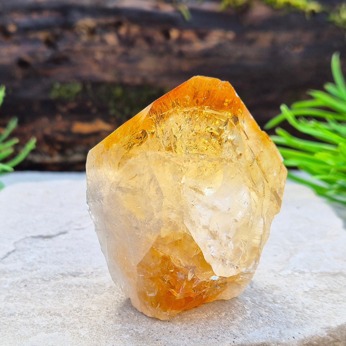 Citrine attracts abundance, joy, and success while boosting positivity, confidence, and creativity. It balances chakras, protects your aura, and improves focus.