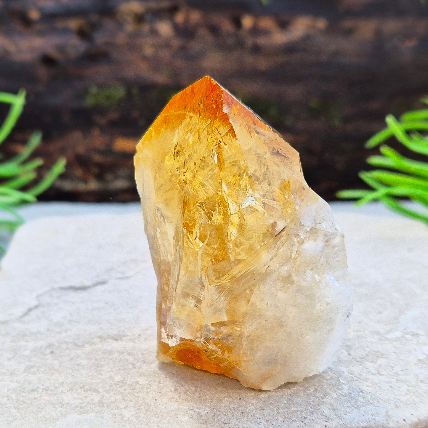 Citrine attracts abundance, joy, and success while boosting positivity, confidence, and creativity. It balances chakras, protects your aura, and improves focus.
