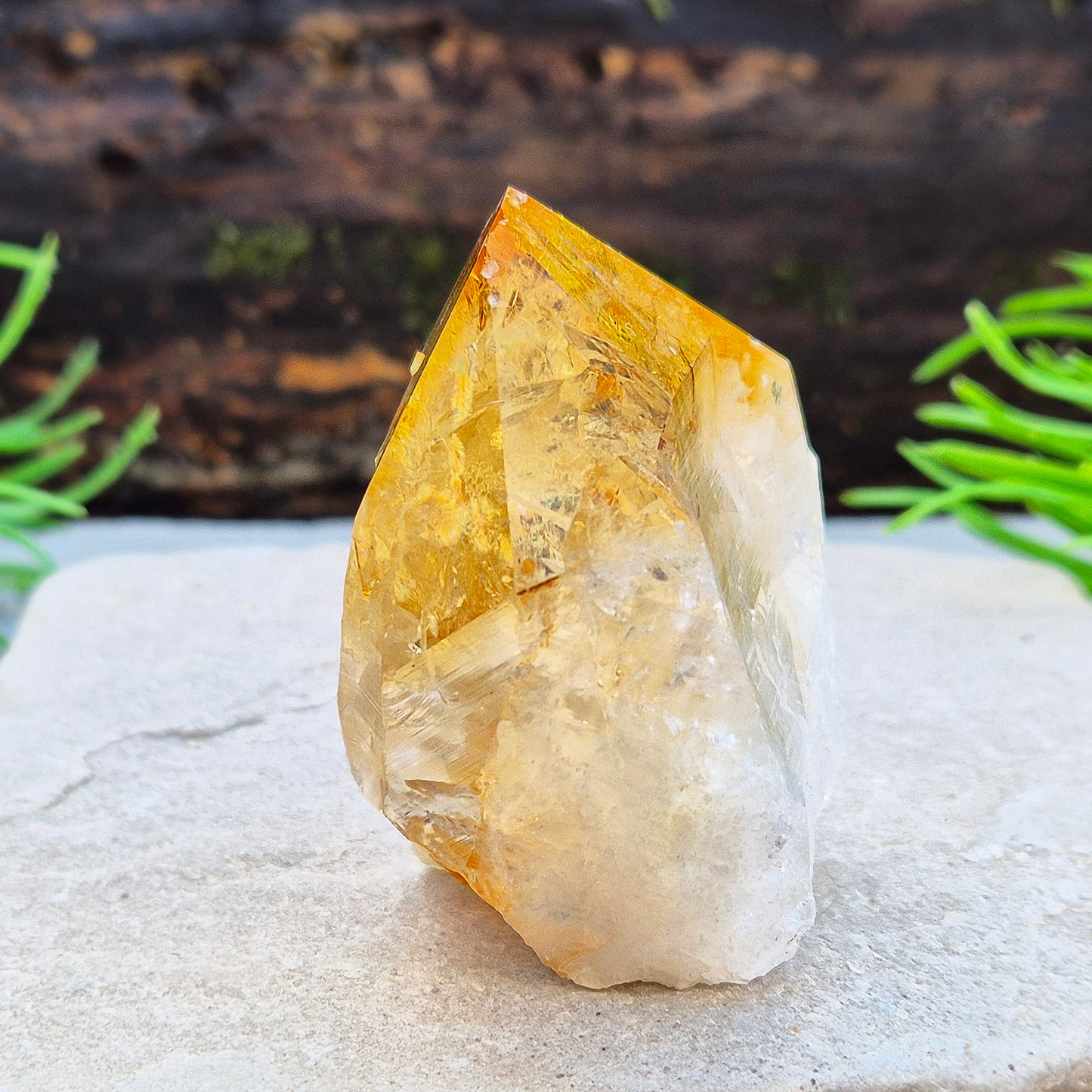 Citrine attracts abundance, joy, and success while boosting positivity, confidence, and creativity. It balances chakras, protects your aura, and improves focus.