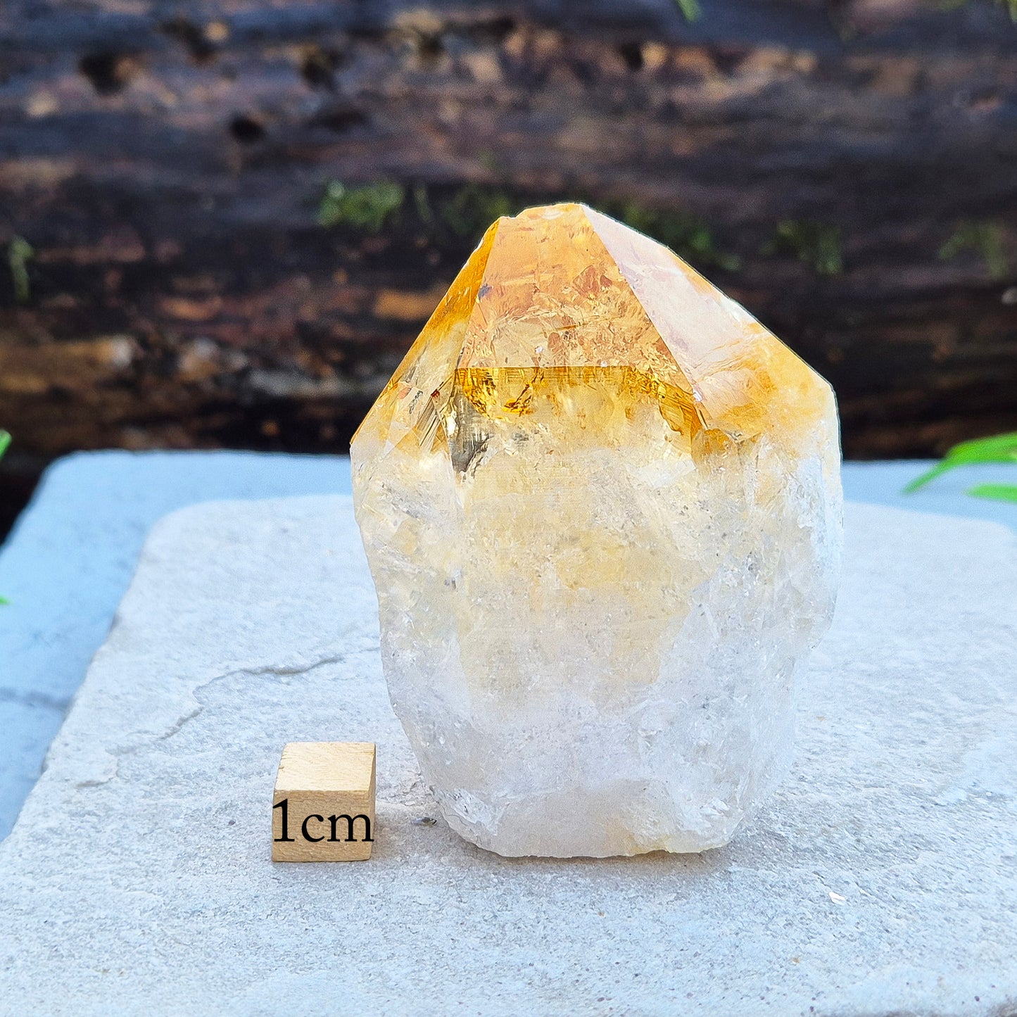 Citrine Crystal Standing Point - Polished Tip, Natural Sides