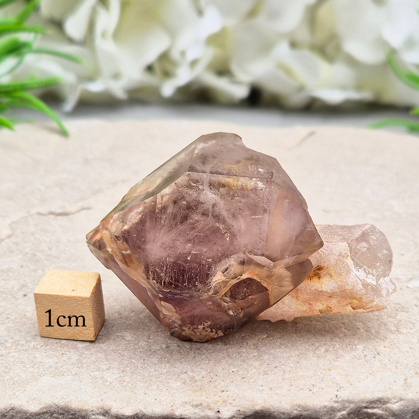 Smoky Amethyst Crystal Sceptre