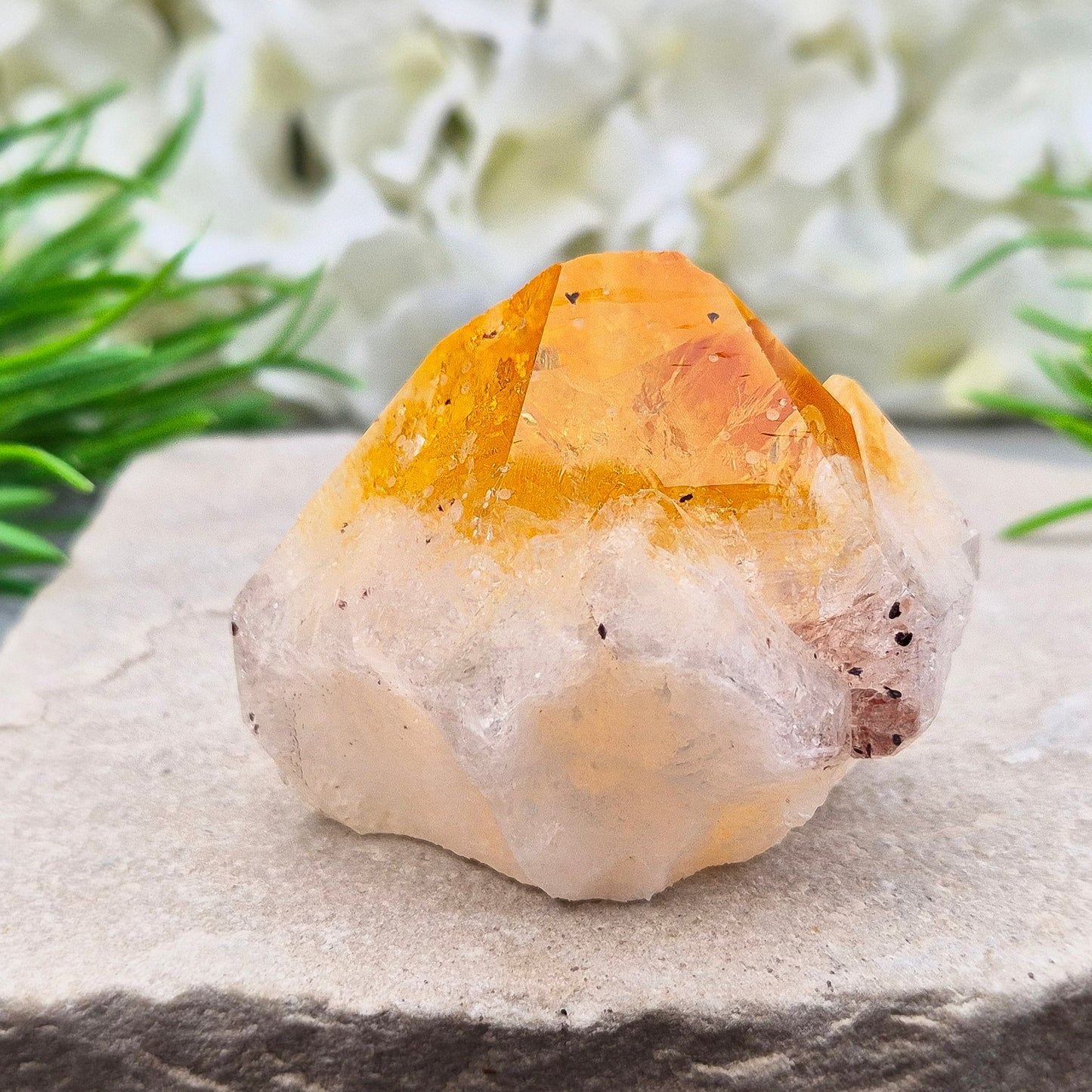 Citrine Cut Base Crystal Point