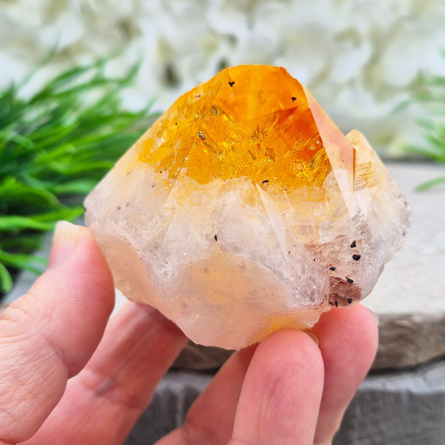 Citrine Cut Base Crystal Point