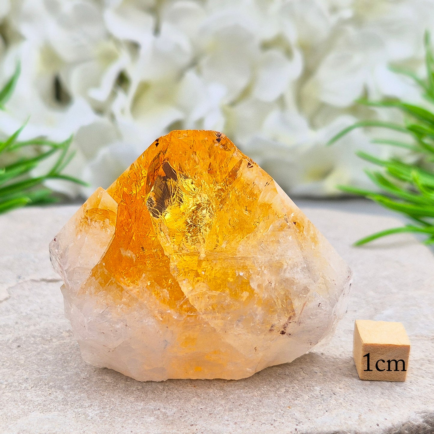Citrine Cut Base Crystal Point