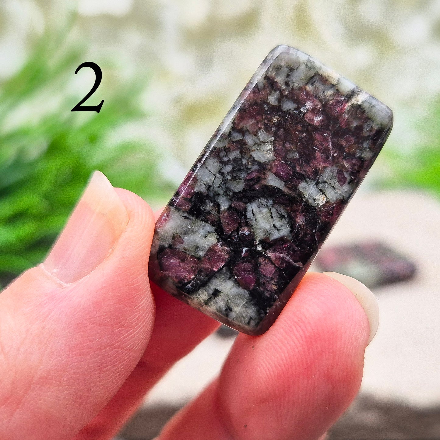 Polished Eudialyte slices with rich red tones. A rare, supportive crystal known for emotional release, self-love, and gentle heart-led strength. 