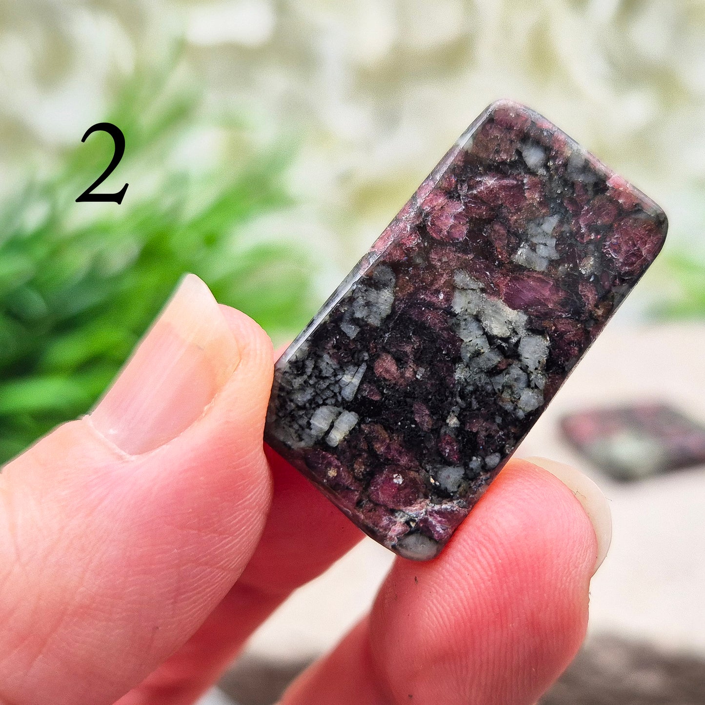 Polished Eudialyte slices with rich red tones. A rare, supportive crystal known for emotional release, self-love, and gentle heart-led strength. 
