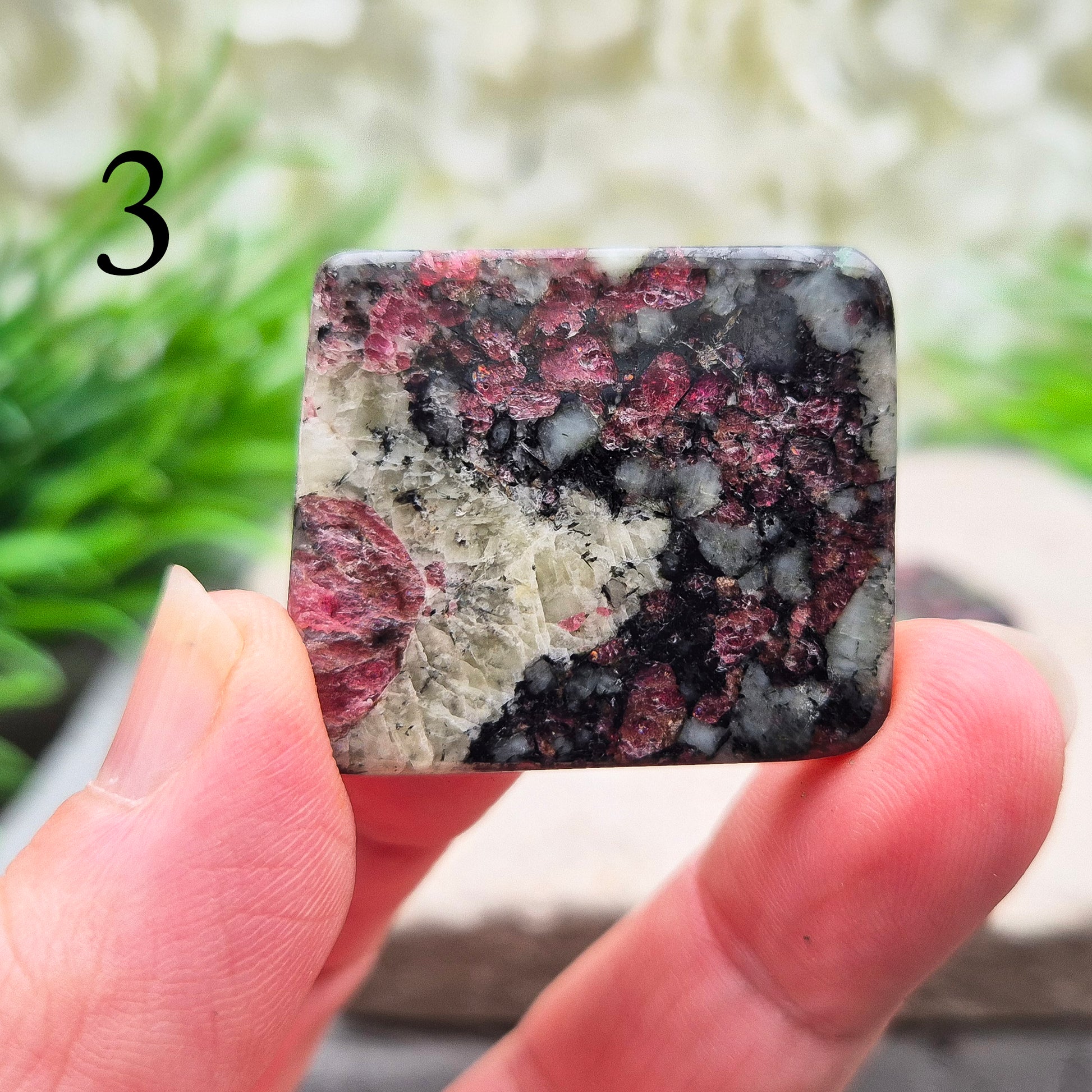 Polished Eudialyte slices with rich red tones. A rare, supportive crystal known for emotional release, self-love, and gentle heart-led strength. 