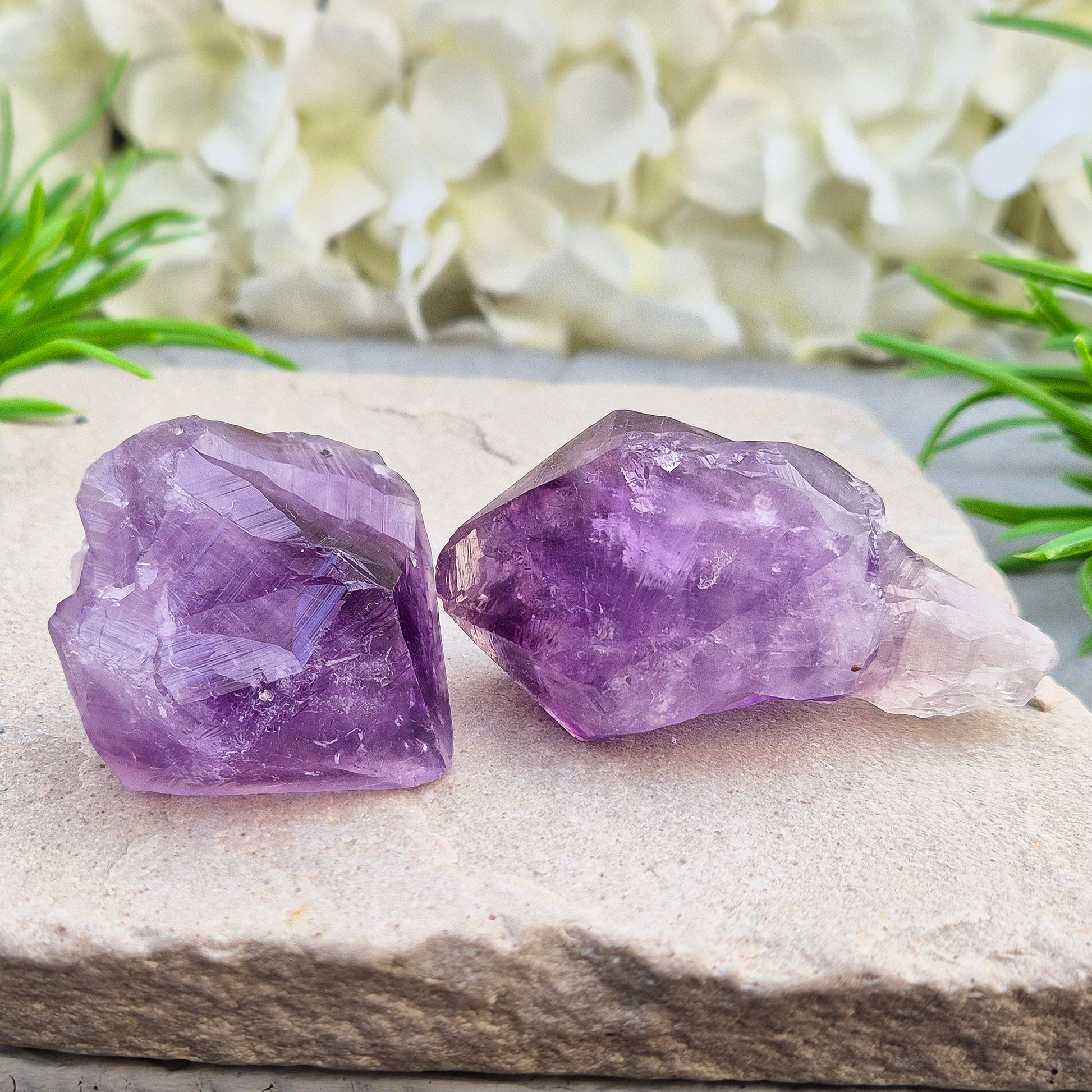 A pair of Amethyust Points with a natural Amethyst "root" formation from Brazil. The points have a polshhed point and natural body — a form sometimes called Amethyst Teeth because of its distinctive shape.