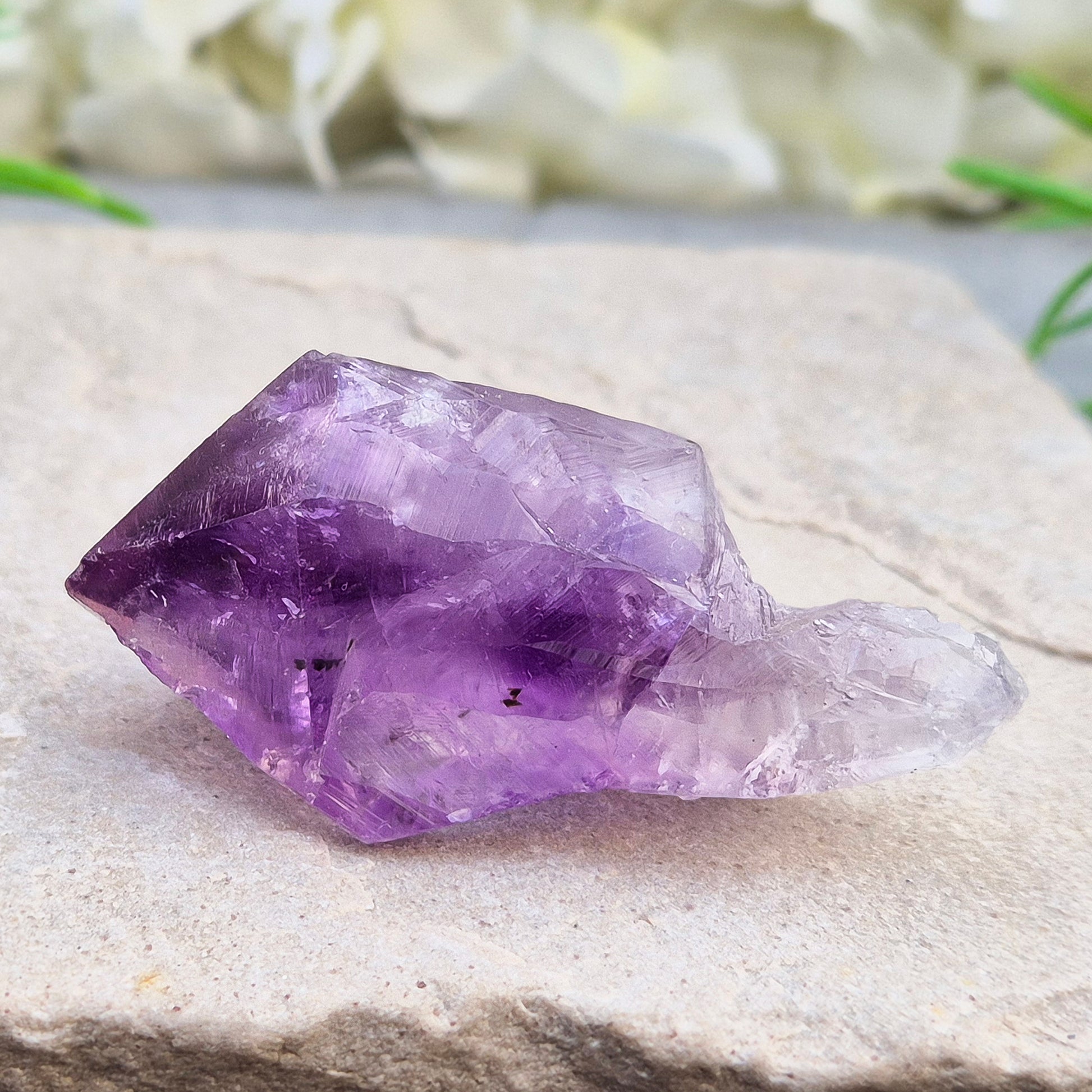 A pair of Amethyust Points with a natural Amethyst "root" formation from Brazil. The points have a polshhed point and natural body — a form sometimes called Amethyst Teeth because of its distinctive shape.