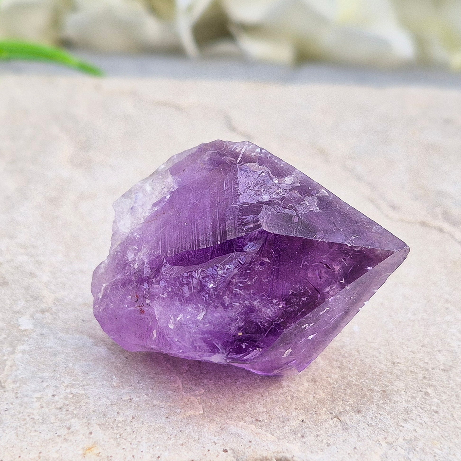 A pair of Amethyust Points with a natural Amethyst "root" formation from Brazil. The points have a polshhed point and natural body — a form sometimes called Amethyst Teeth because of its distinctive shape.