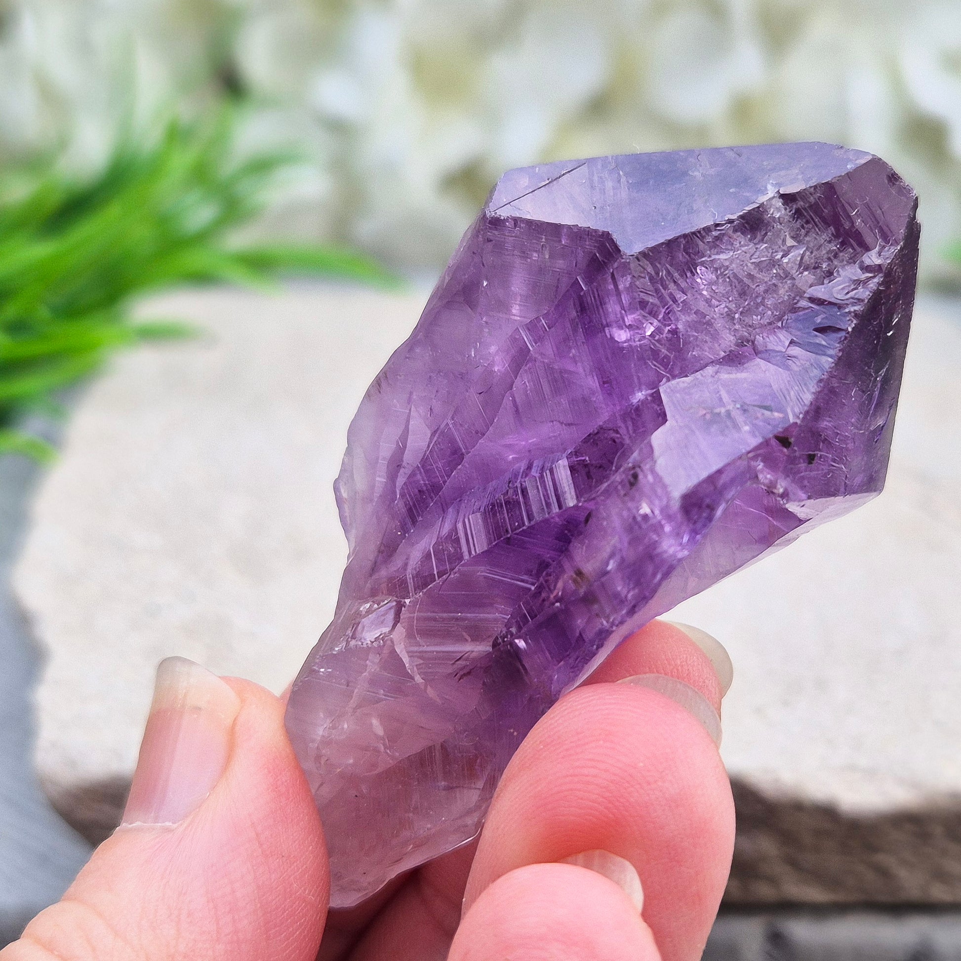 A pair of Amethyust Points with a natural Amethyst "root" formation from Brazil. The points have a polshhed point and natural body — a form sometimes called Amethyst Teeth because of its distinctive shape.