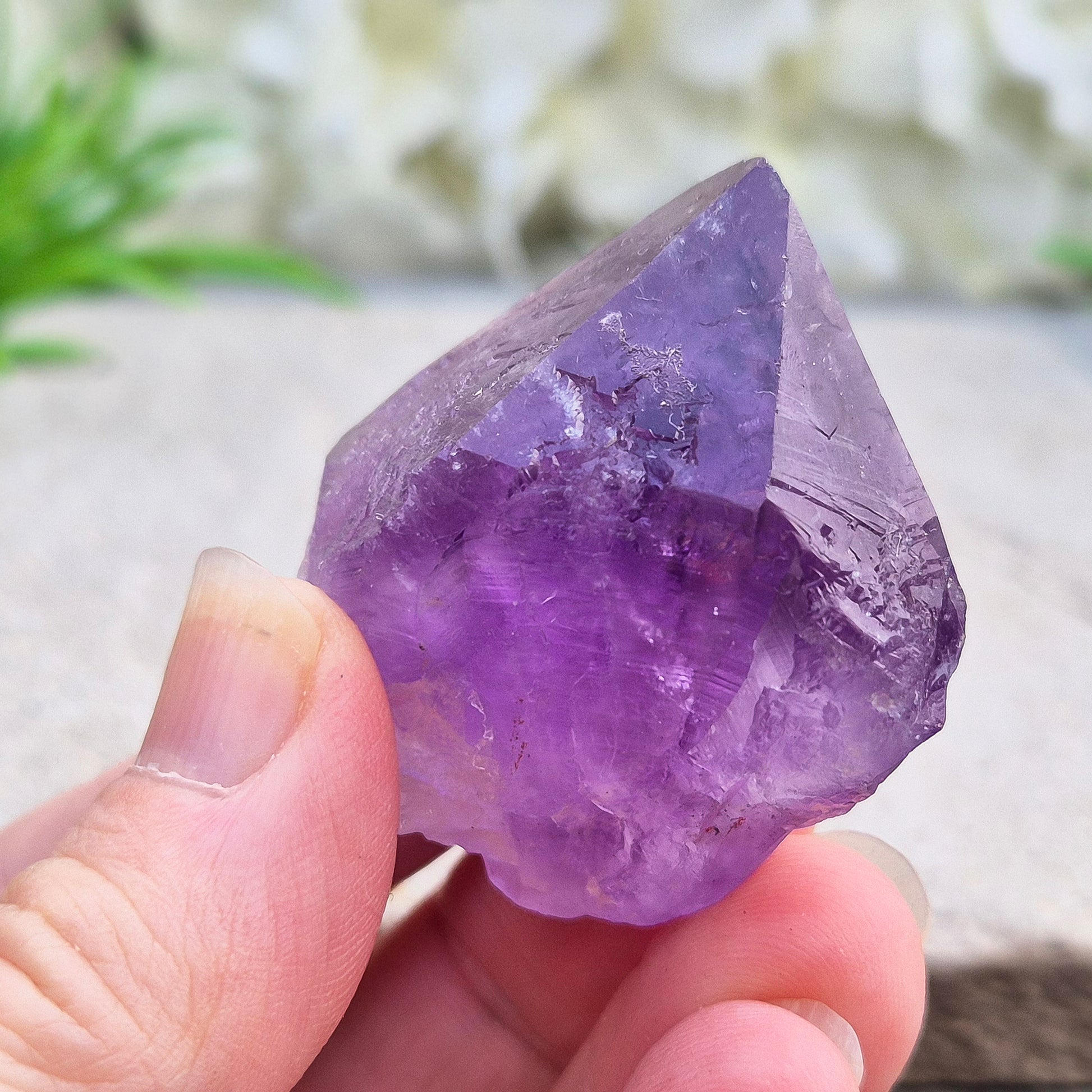 A pair of Amethyust Points with a natural Amethyst "root" formation from Brazil. The points have a polshhed point and natural body — a form sometimes called Amethyst Teeth because of its distinctive shape.