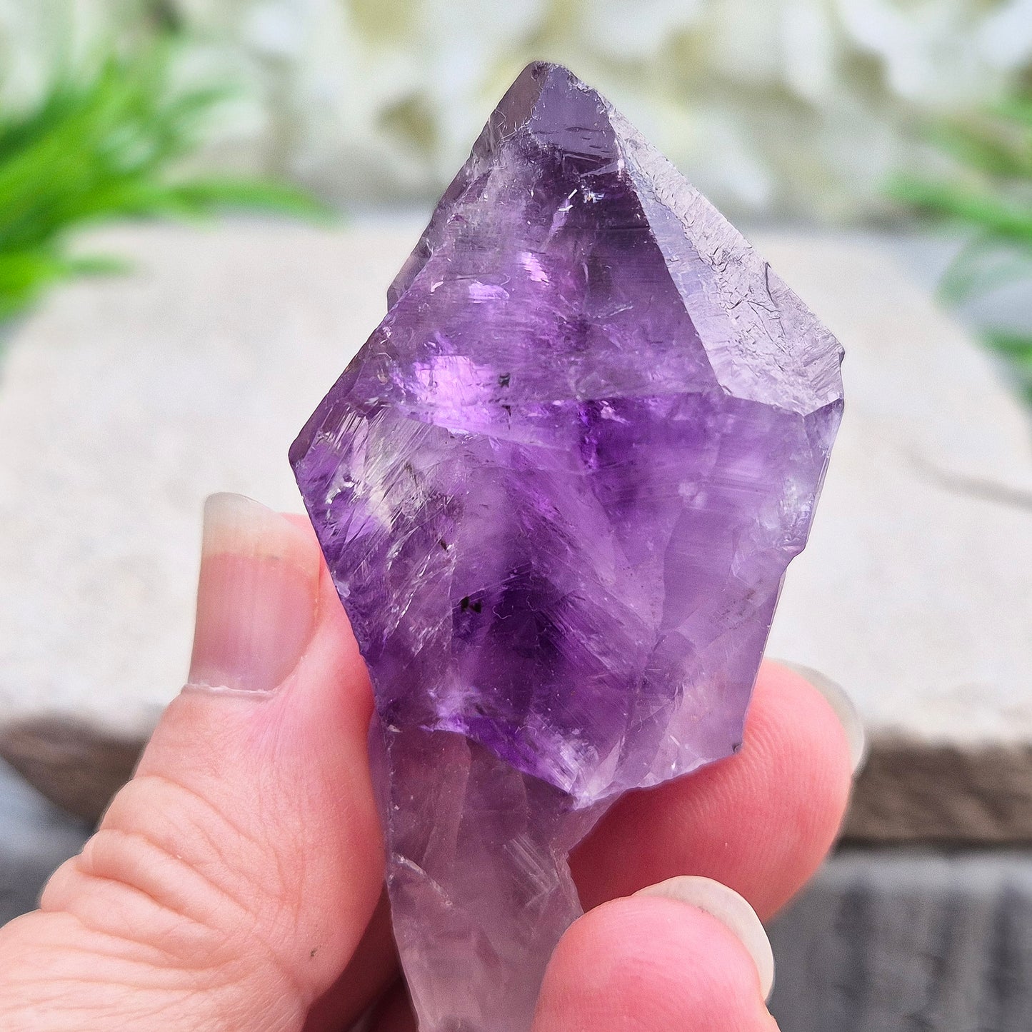 A pair of Amethyust Points with a natural Amethyst "root" formation from Brazil. The points have a polshhed point and natural body — a form sometimes called Amethyst Teeth because of its distinctive shape.