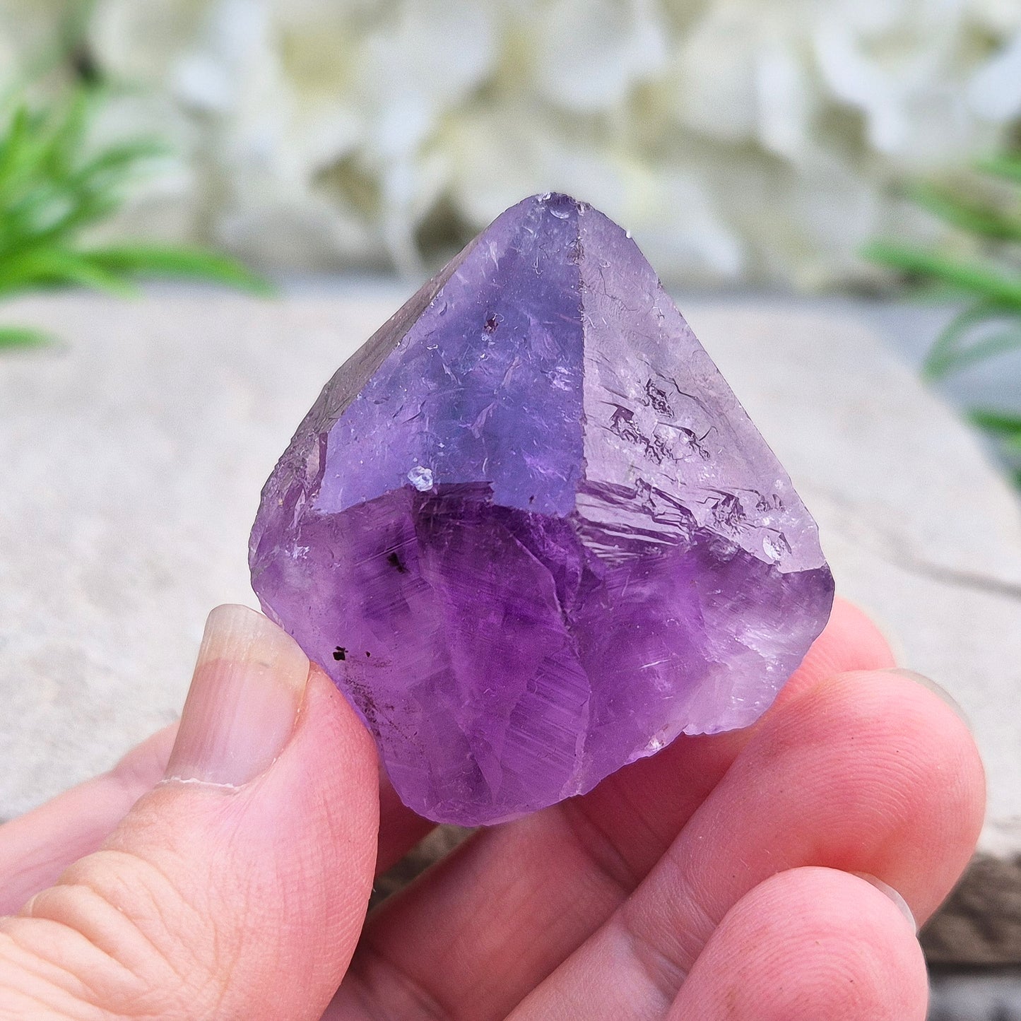 A pair of Amethyust Points with a natural Amethyst "root" formation from Brazil. The points have a polshhed point and natural body — a form sometimes called Amethyst Teeth because of its distinctive shape.