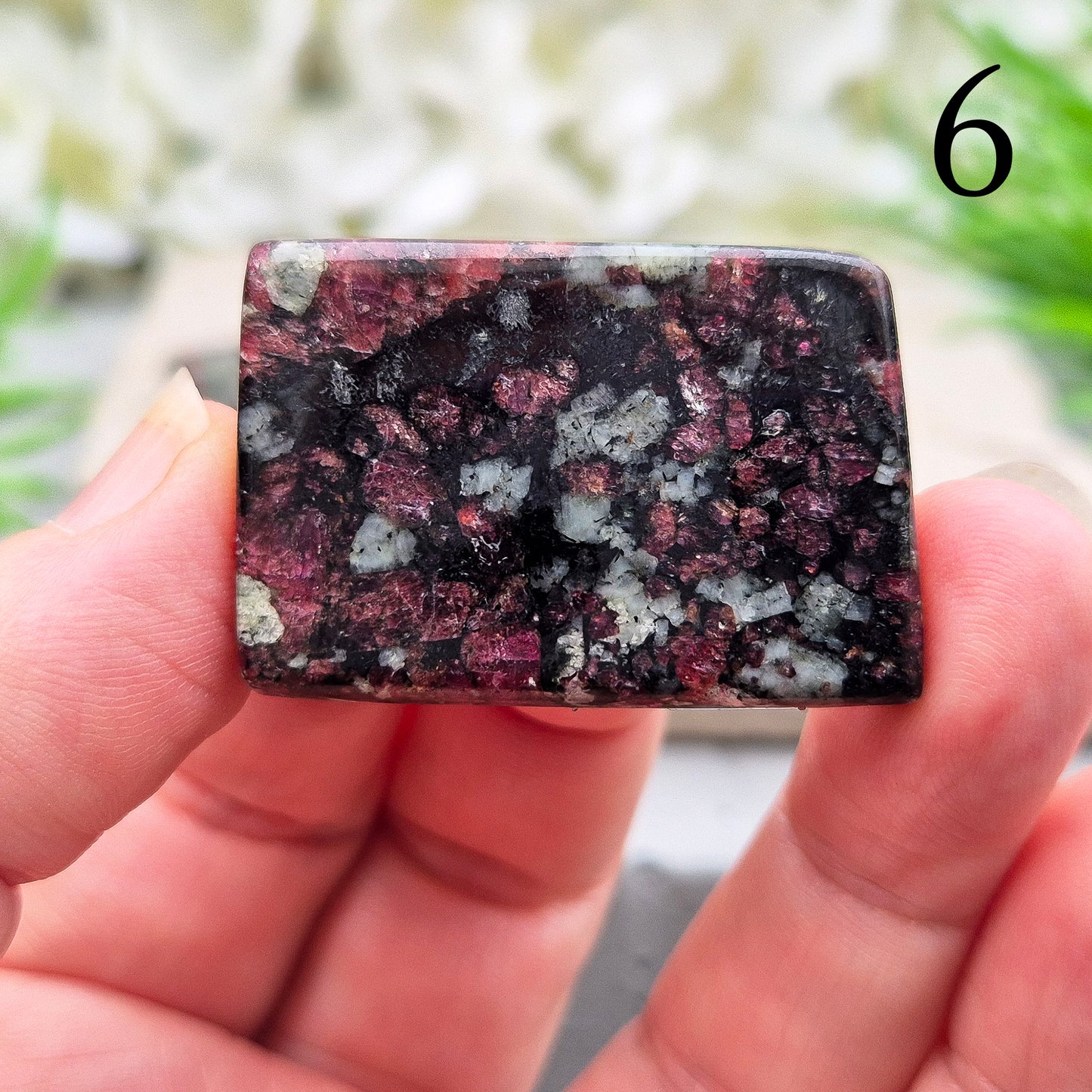 Eudialyte Crystal, Grade A Polished Gemstone