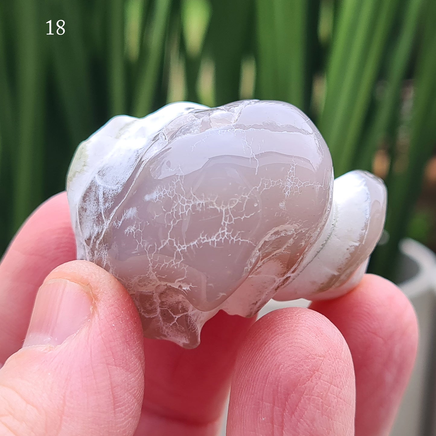 Shop Snakeskin Agate, a rare semi-translucent crystal with striking snake skin patterns. Boost your self-esteem, promote inner peace, and activate your chakras.