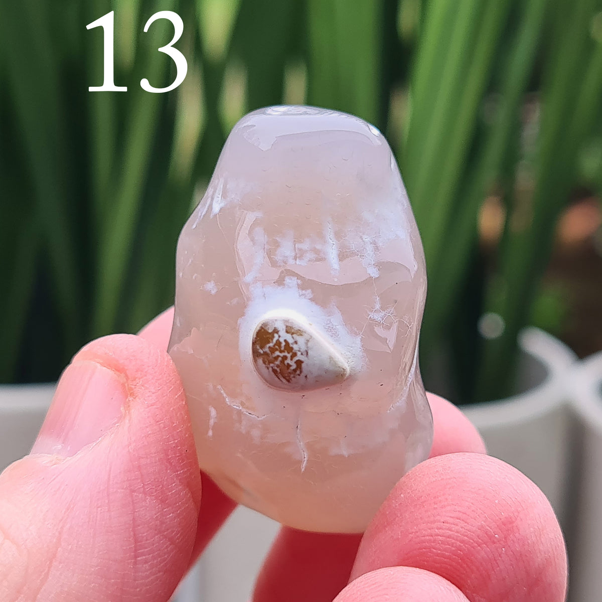 Rare natural Snakeskin Agate crystal with unique natural markings. Grounding, calming stone for self-acceptance and everyday balance. 