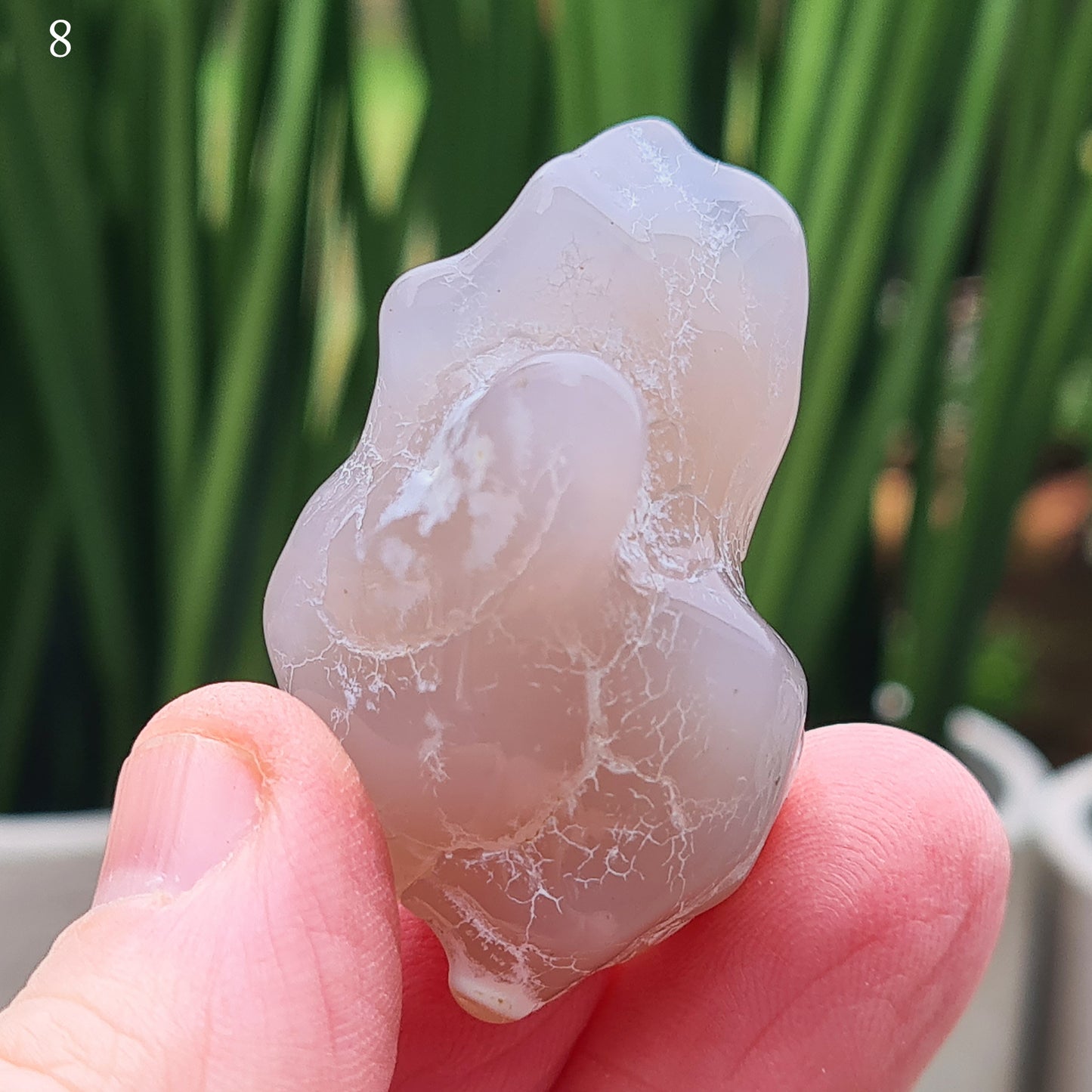 Shop Snakeskin Agate, a rare semi-translucent crystal with striking snake skin patterns. Boost your self-esteem, promote inner peace, and activate your chakras.