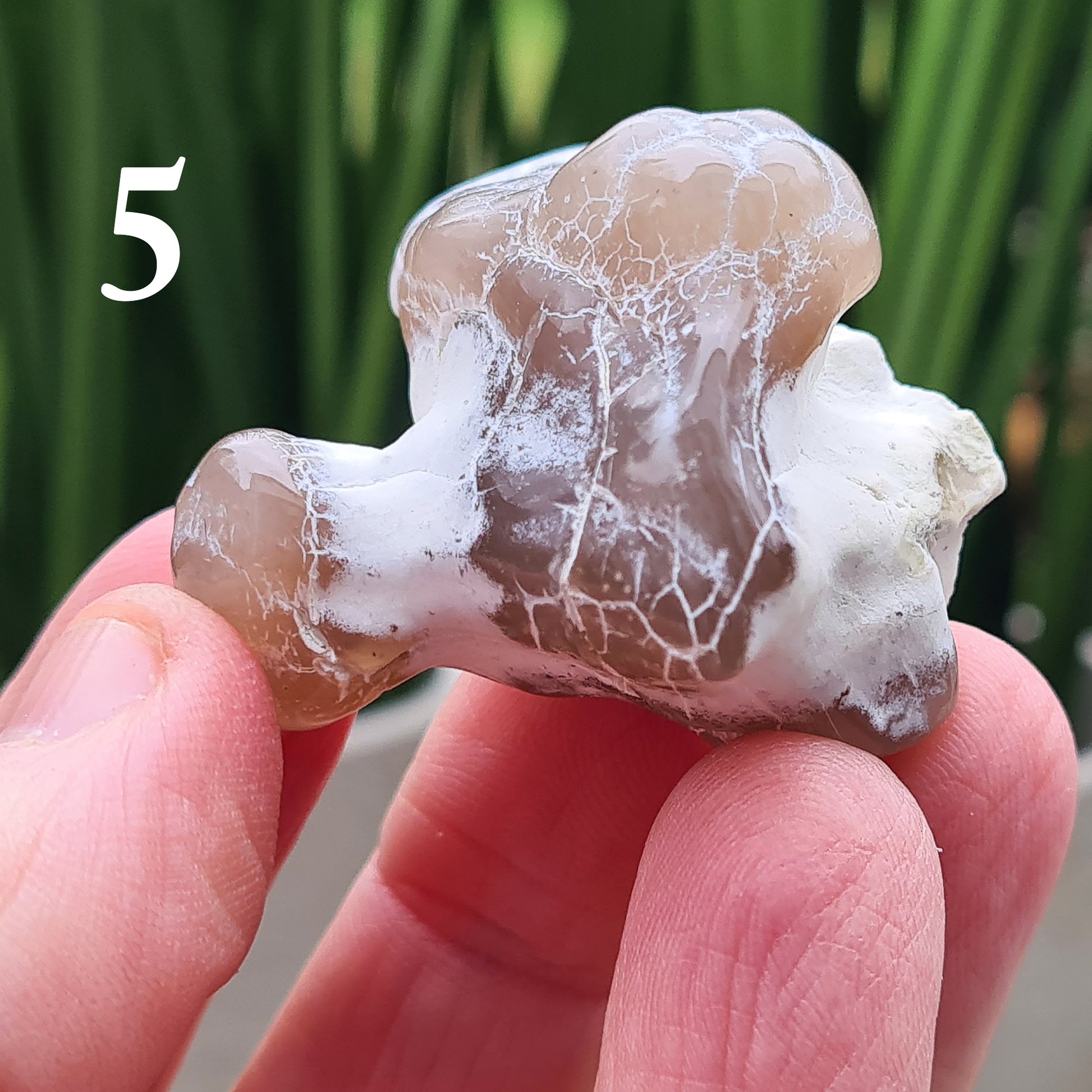 Shop Snakeskin Agate, a rare semi-translucent crystal with striking snake skin patterns. Boost your self-esteem, promote inner peace, and activate your chakras.