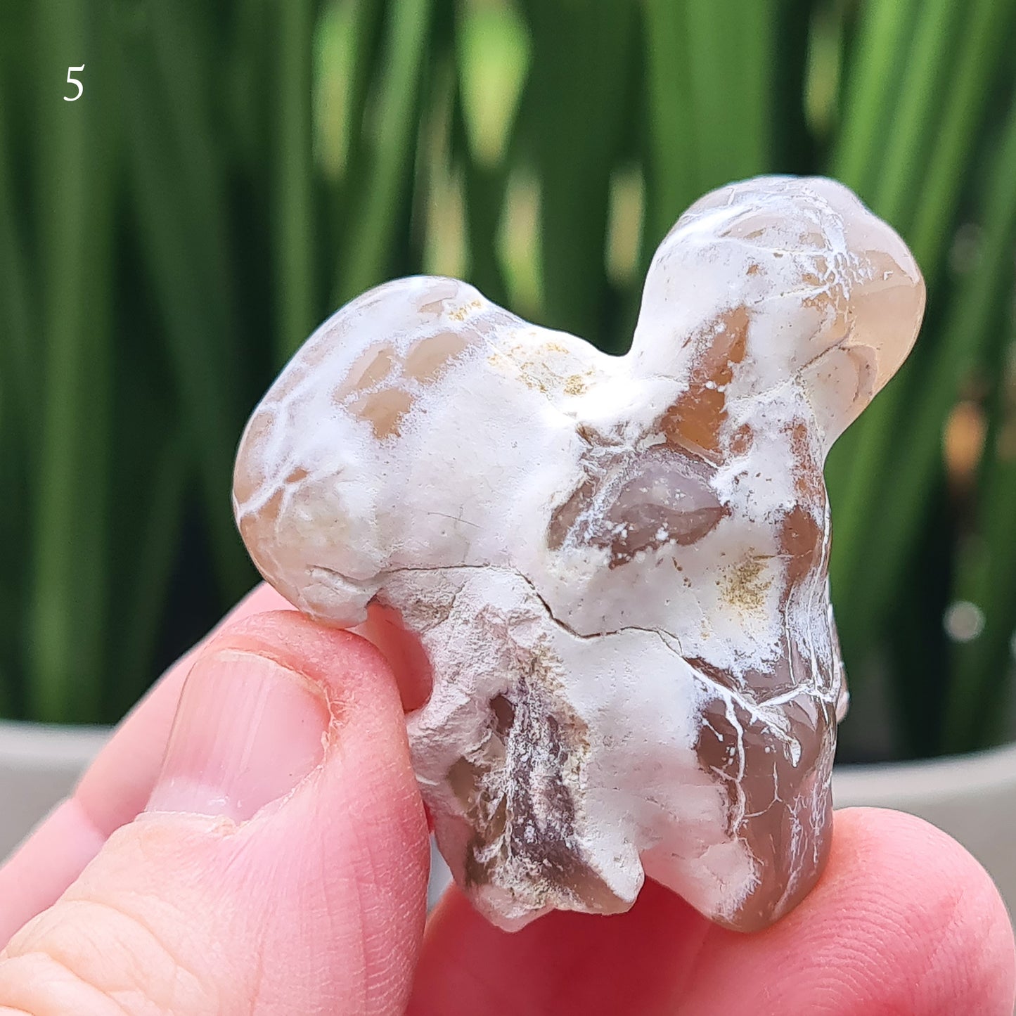 Shop Snakeskin Agate, a rare semi-translucent crystal with striking snake skin patterns. Boost your self-esteem, promote inner peace, and activate your chakras.