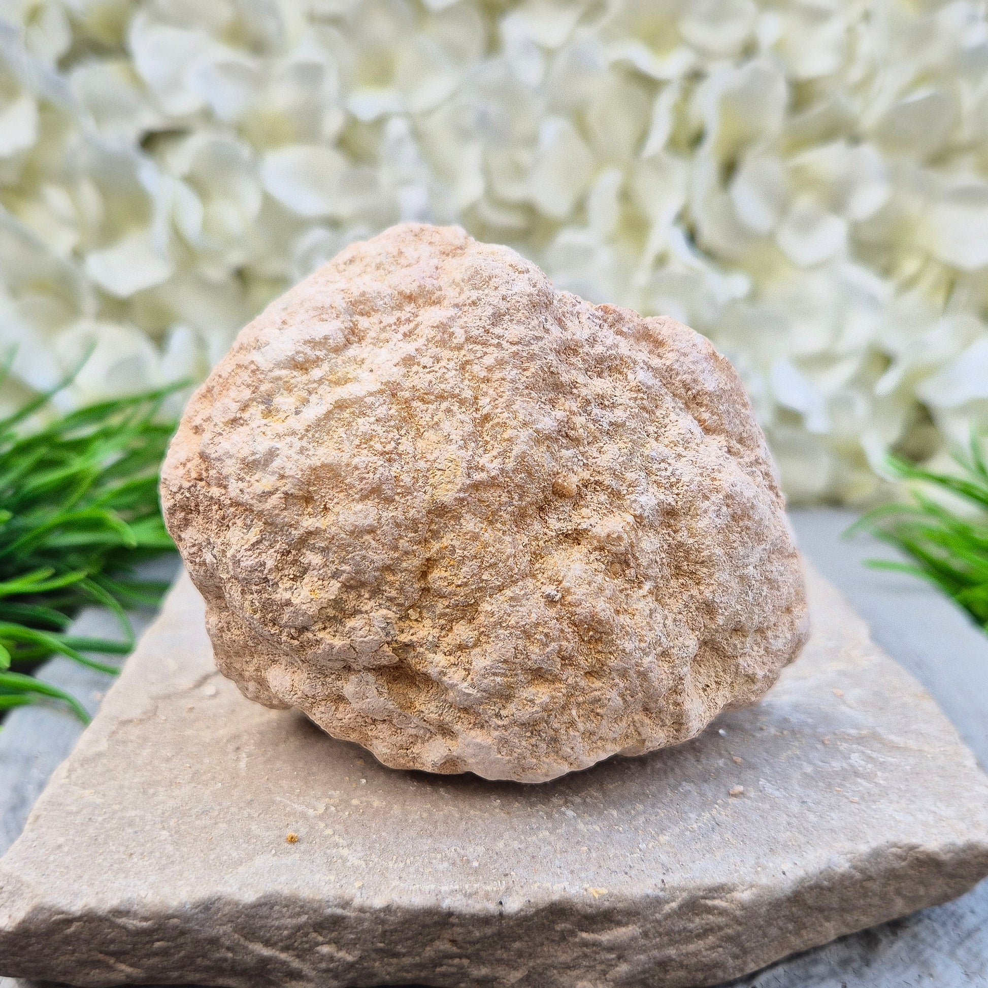 A natural quartz geode pair that fills your space with soft, uplifting energy. Ideal for calm home décor, meditation areas, and thoughtful gifting.