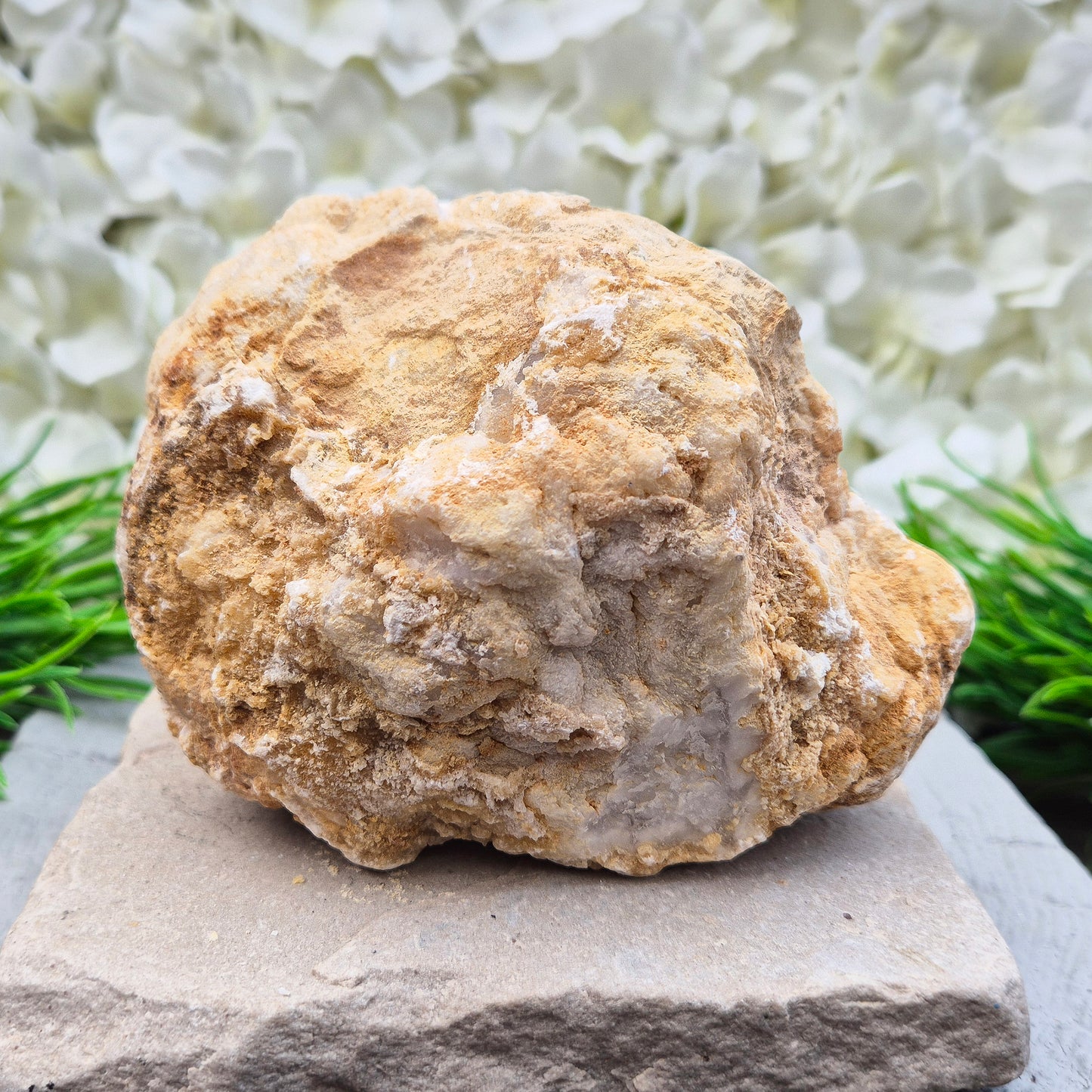 Quartz Crystal Geode Pair, Sparkling Quartz Crystals