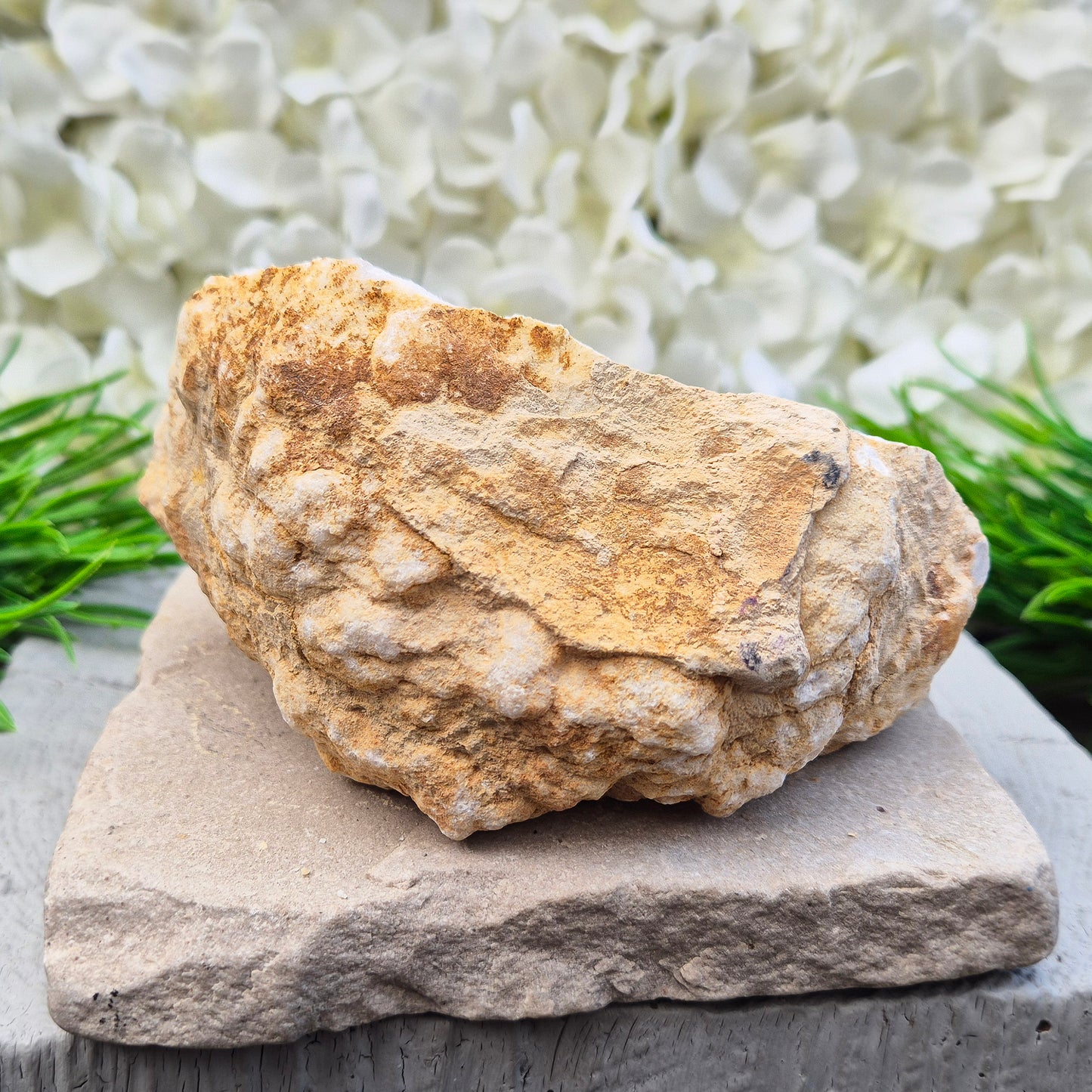 Quartz Crystal Geode Pair, Sparkling Quartz Crystals