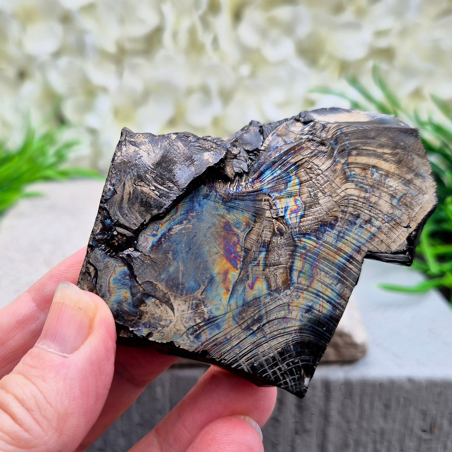 Colombian Shungite – uncommon carbon-based stone with natural rainbow flashes. Strong grounding and protective energy for home, work or meditation.