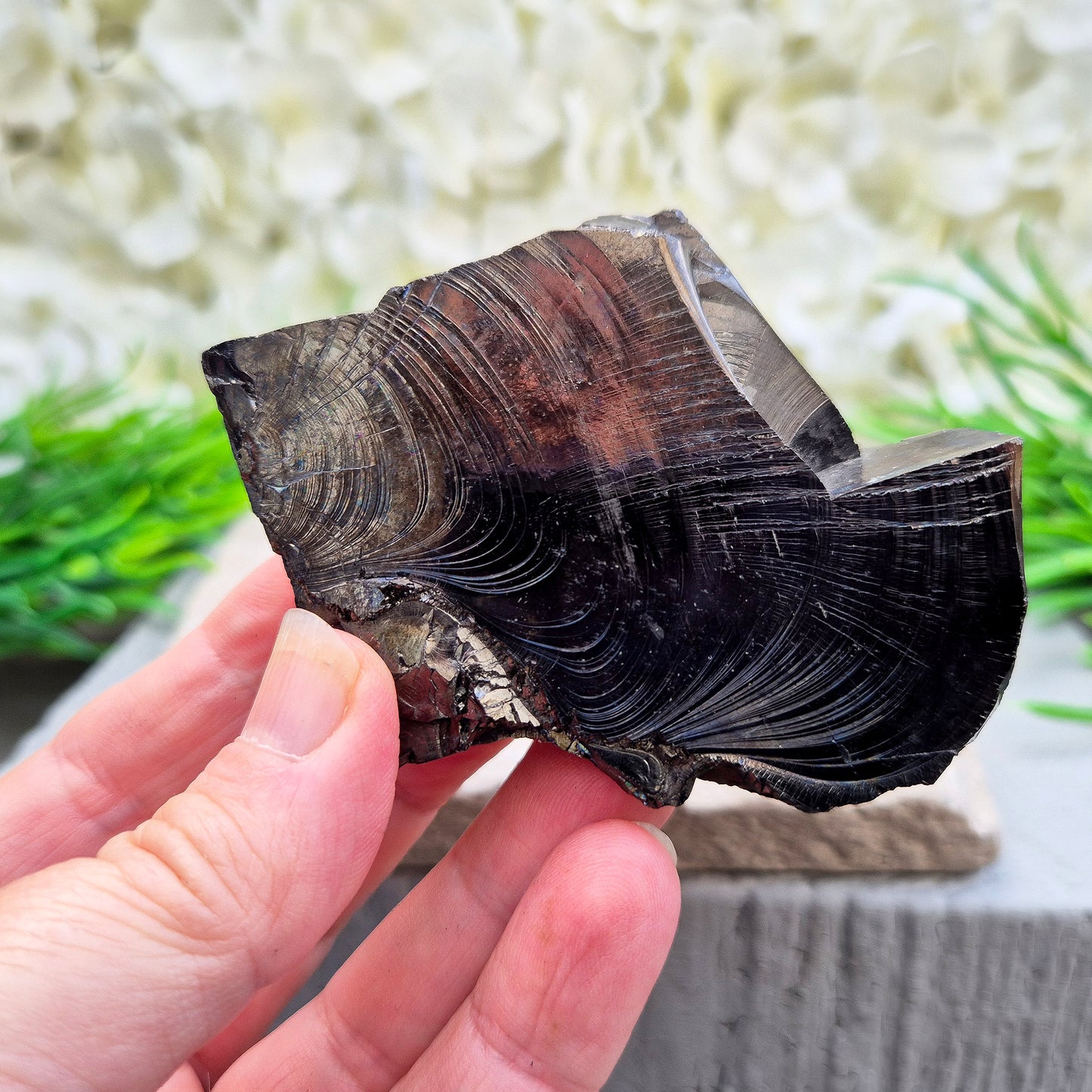 Colombian Shungite – uncommon carbon-based stone with natural rainbow flashes. Strong grounding and protective energy for home, work or meditation.