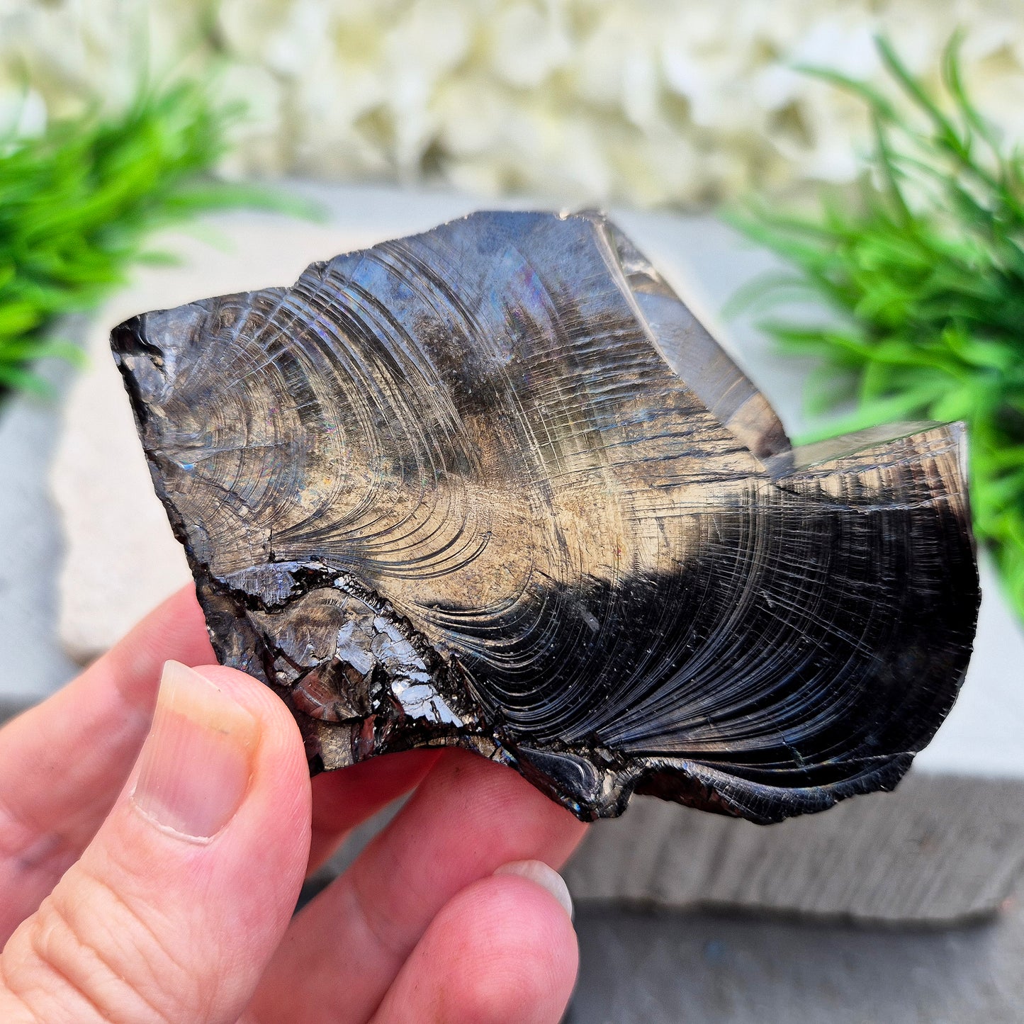 Colombian Shungite – uncommon carbon-based stone with natural rainbow flashes. Strong grounding and protective energy for home, work or meditation.