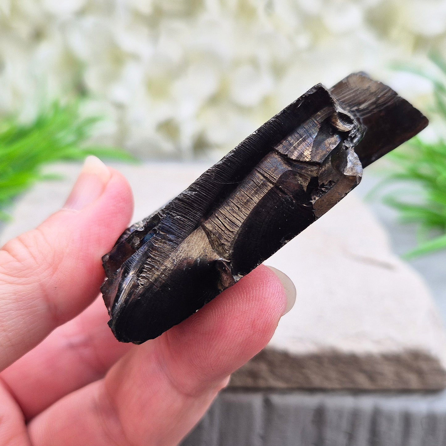 Colombian Shungite – uncommon carbon-based stone with natural rainbow flashes. Strong grounding and protective energy for home, work or meditation.
