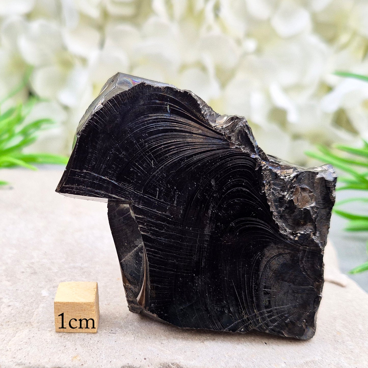 Colombian Shungite Crystal – Raw Carbon-Rich Stone