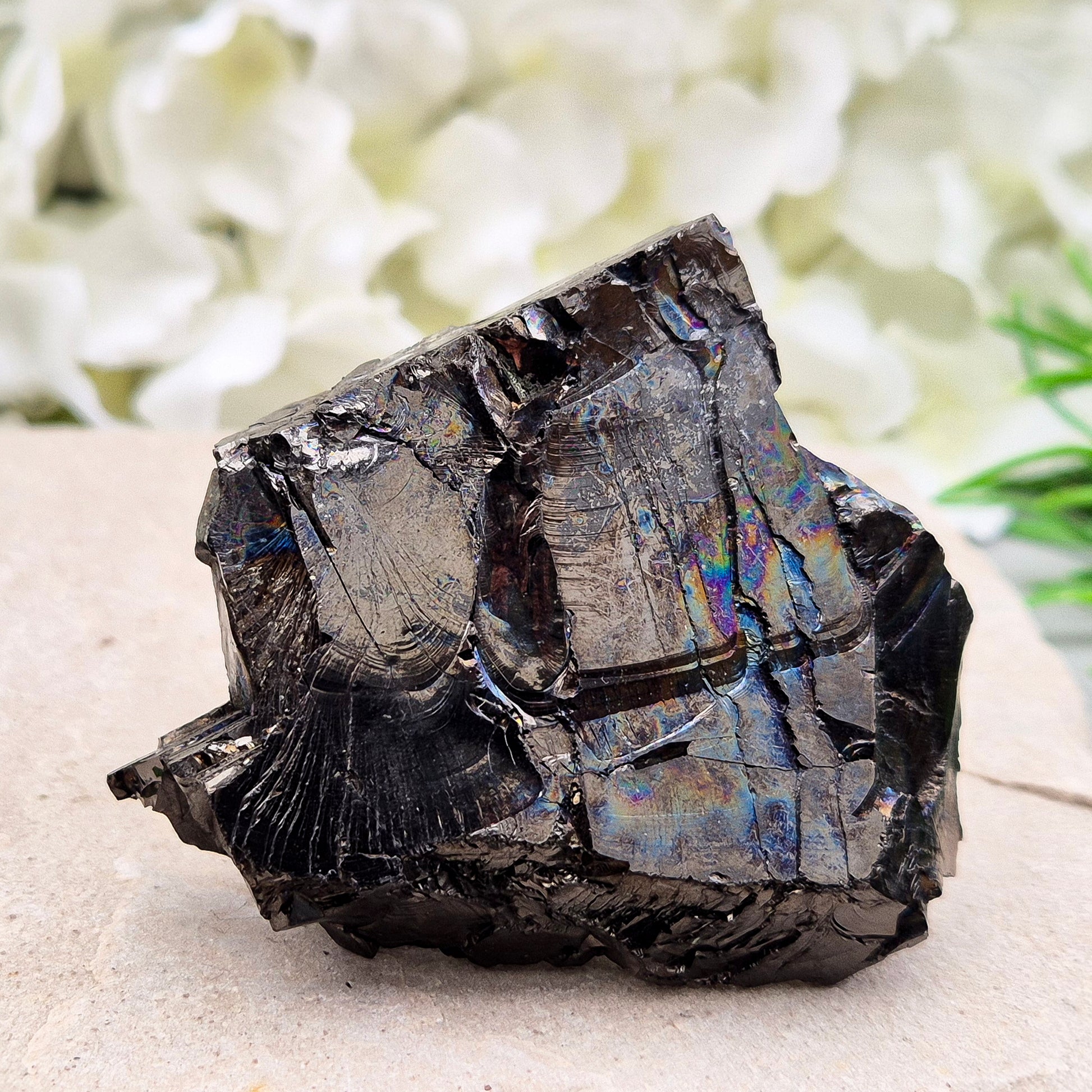 Raw Colombian Shungite from a rare carbon deposit. Grounding, protective and naturally iridescent. Perfect for home energy work and crystal collectors.