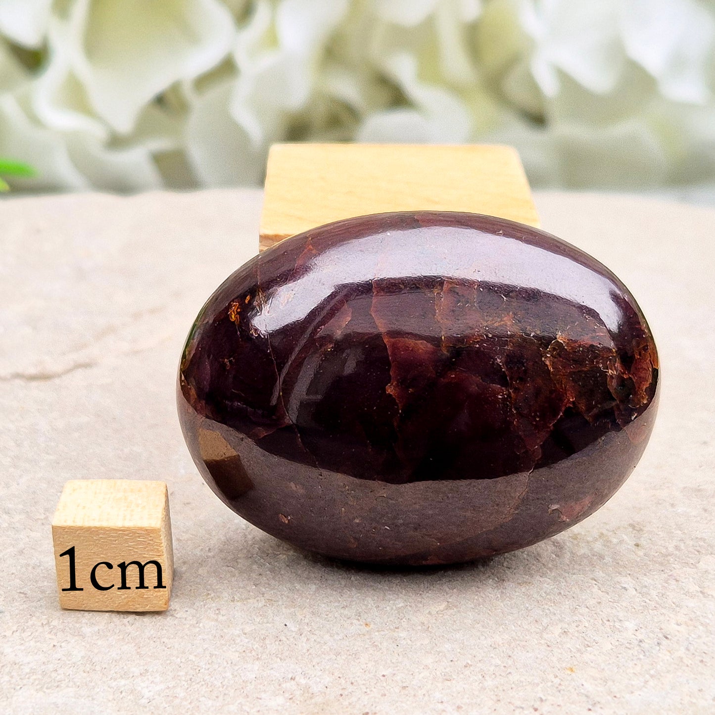 Star Garnet Crystal Palm Stone – Rare & Beautiful Asterism (Four-ray star)