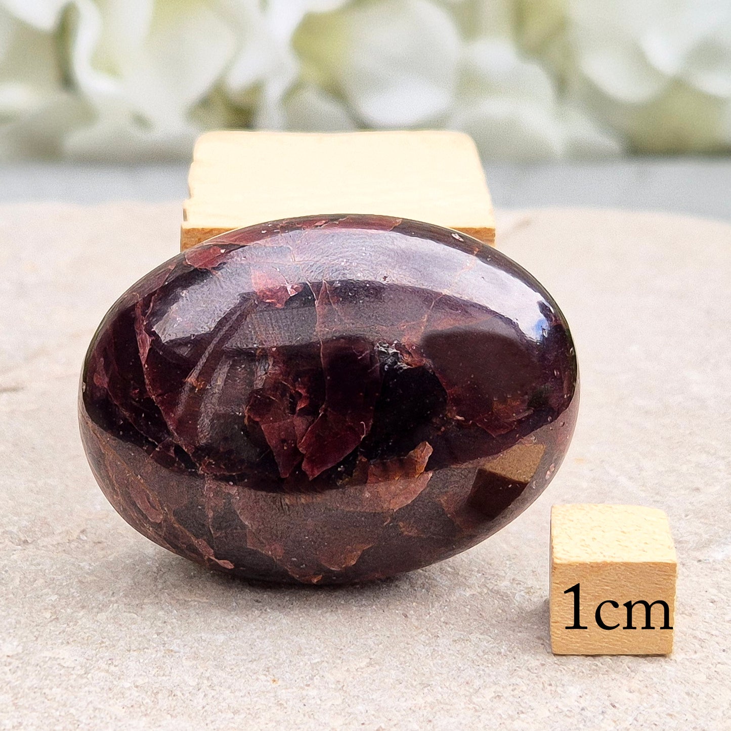 Rare Star Garnet palm stone with striking asterism. Perfect for collectors and crystal lovers seeking unique, grounding energy.