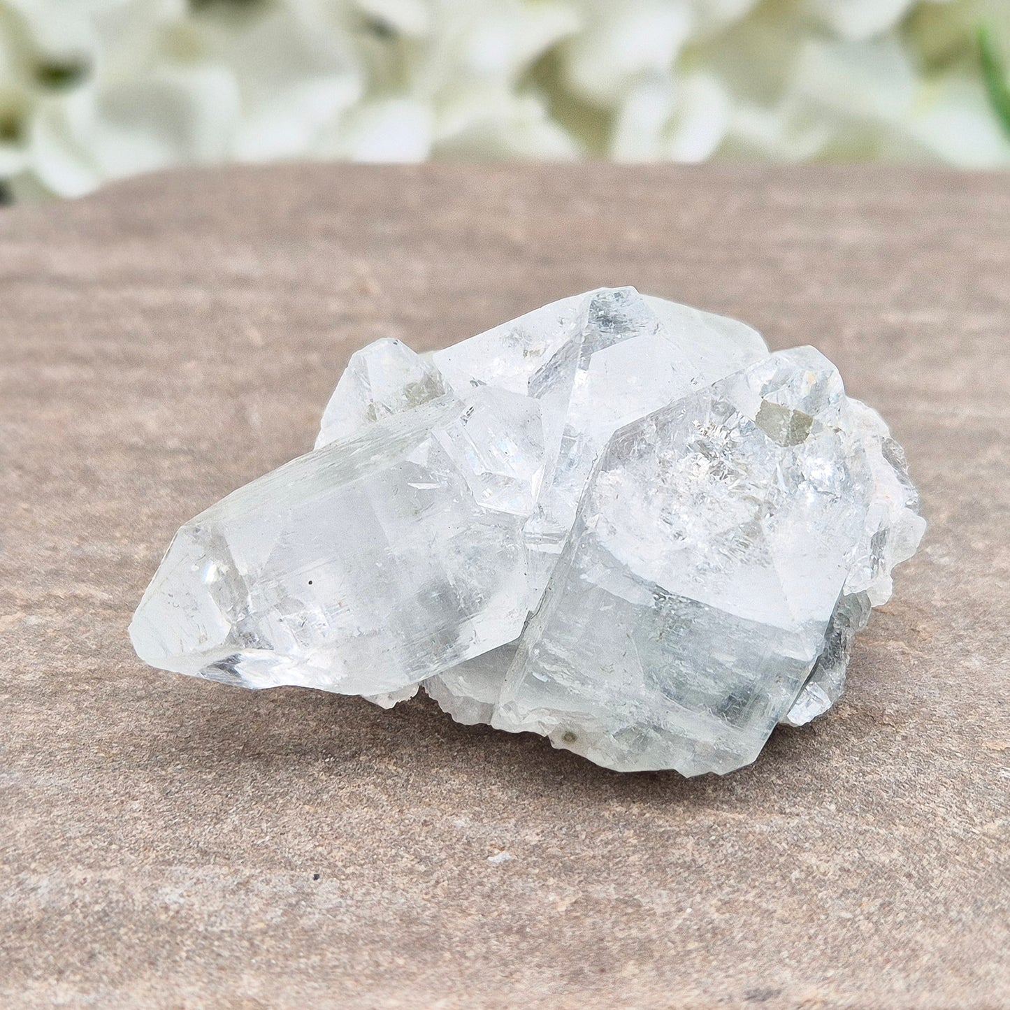 Apophyllite cluster with bright, sparkling points. A beautiful piece for uplifting energy, fresh space, and calm focus. Ideal for meditation or home décor.