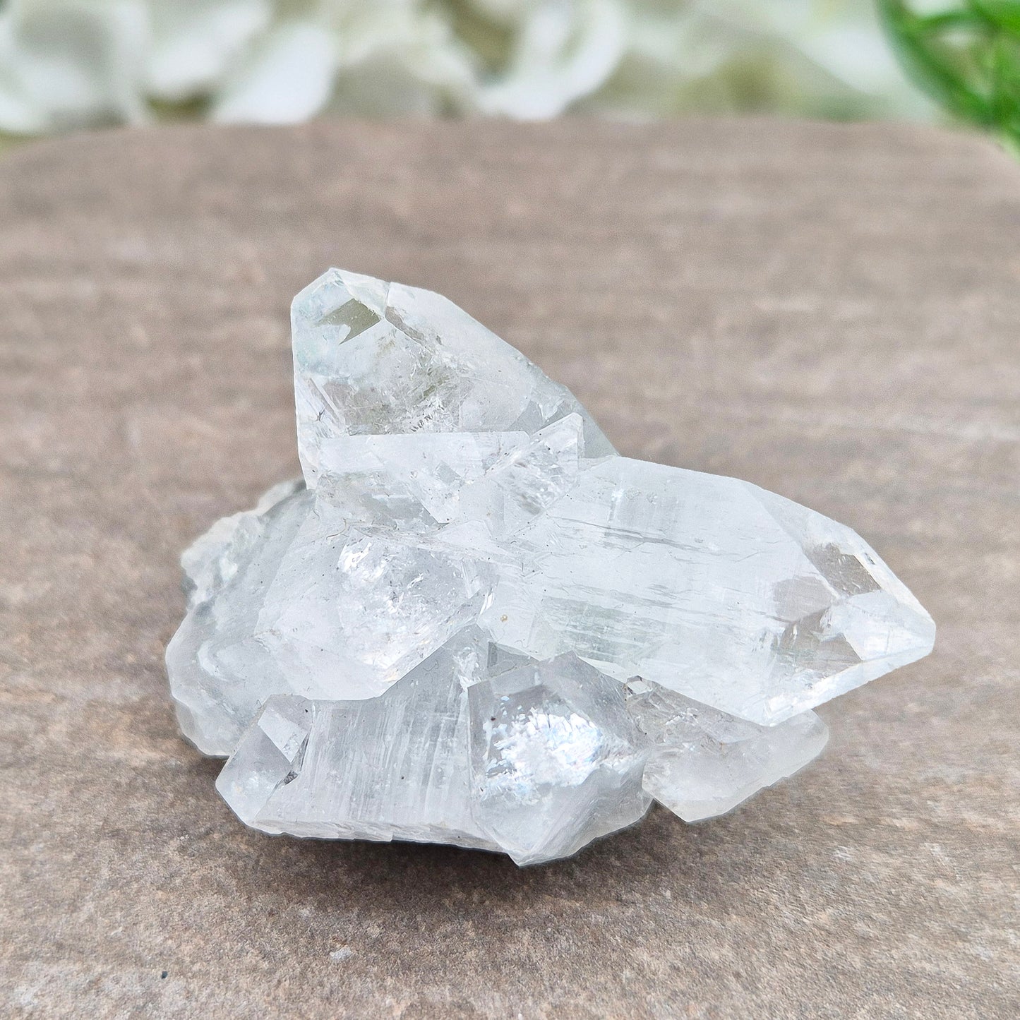 Apophyllite Crystal Cluster