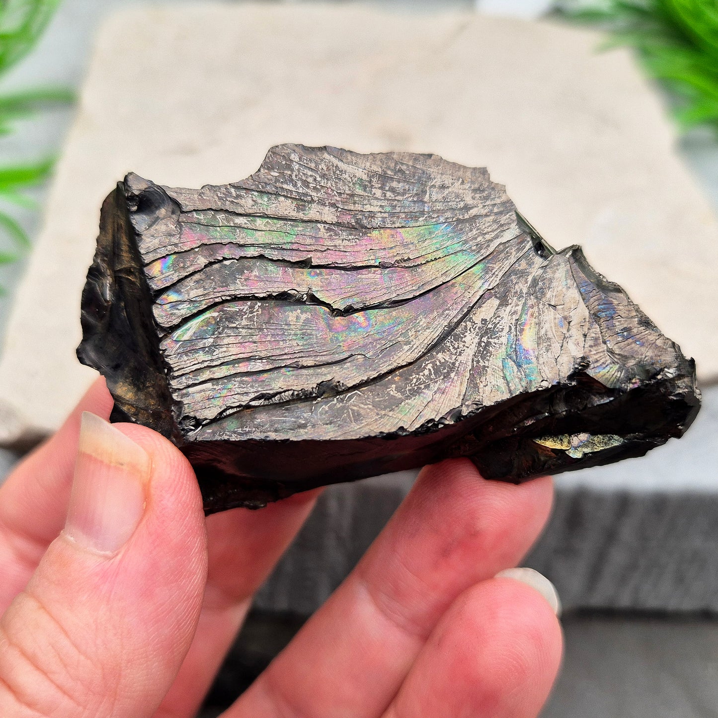 Colombian Shungite for grounding and energetic protection. A natural stone used to stabilise energy, reduce unwanted vibes, and support a balanced space.