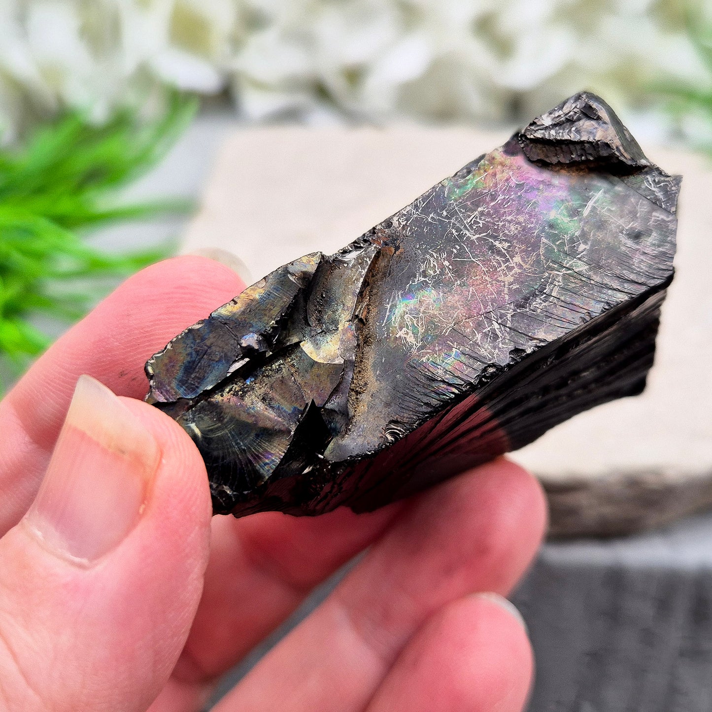 Colombian Shungite for grounding and energetic protection. A natural stone used to stabilise energy, reduce unwanted vibes, and support a balanced space.